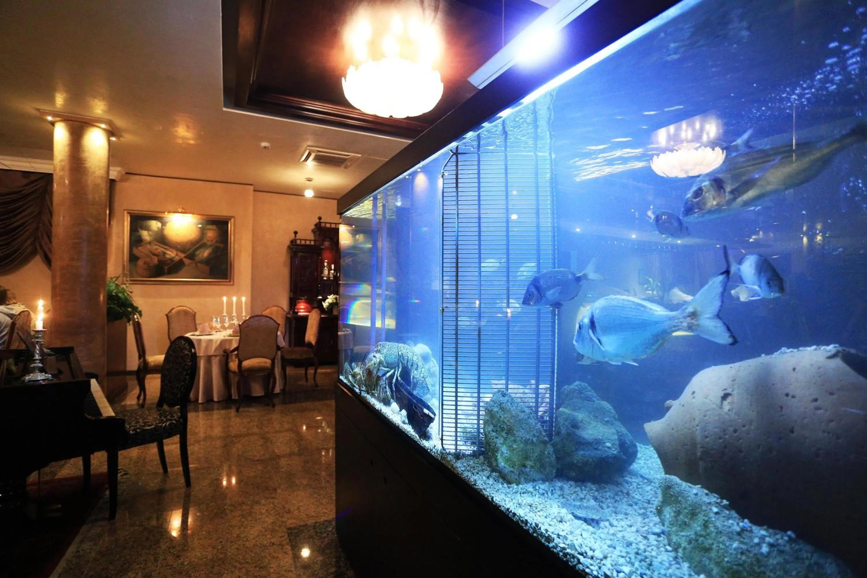 Restaurant/places to eat in Hotel Niko