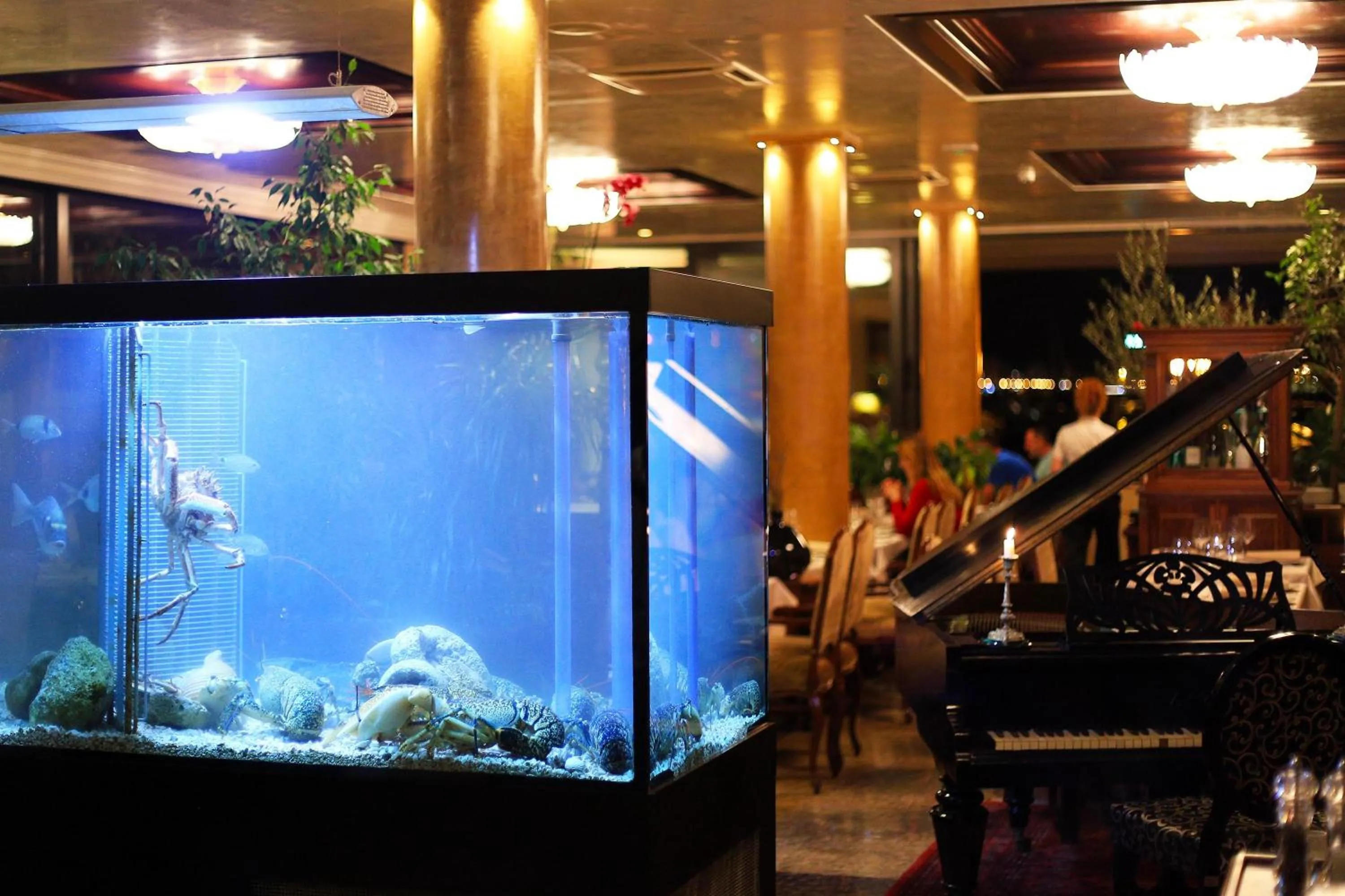 Restaurant/places to eat in Hotel Niko