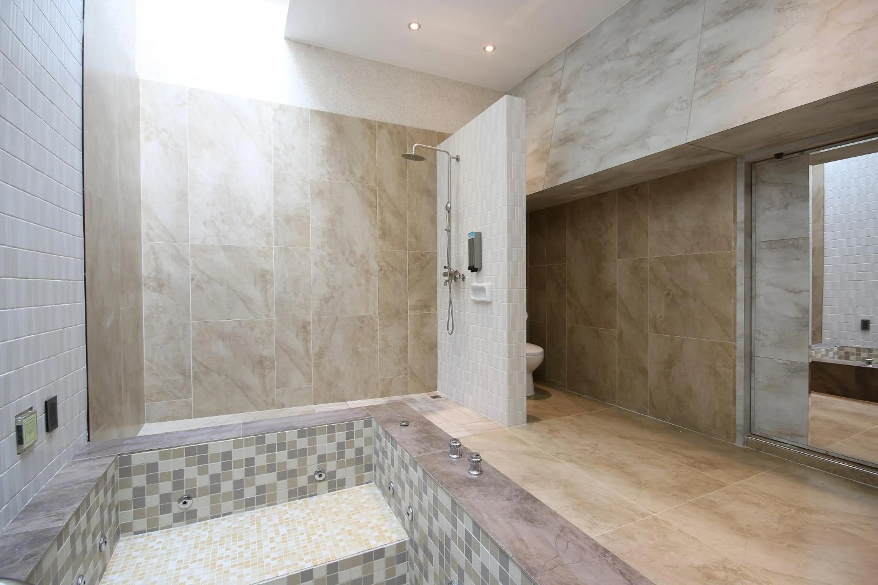 Shower in Region Motel