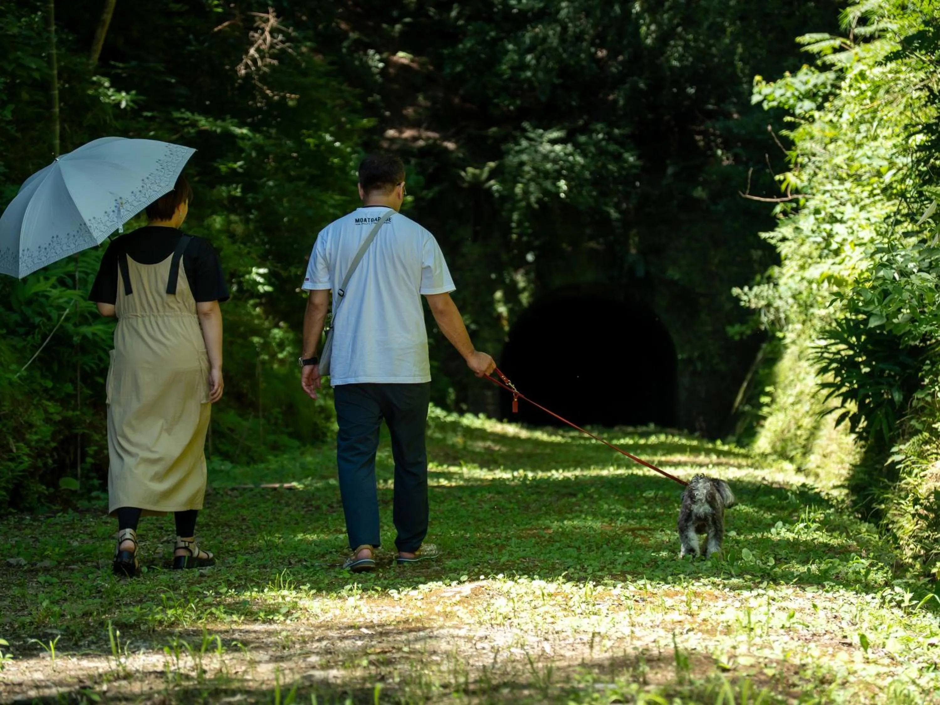 Animals in Farm Garden Hotel