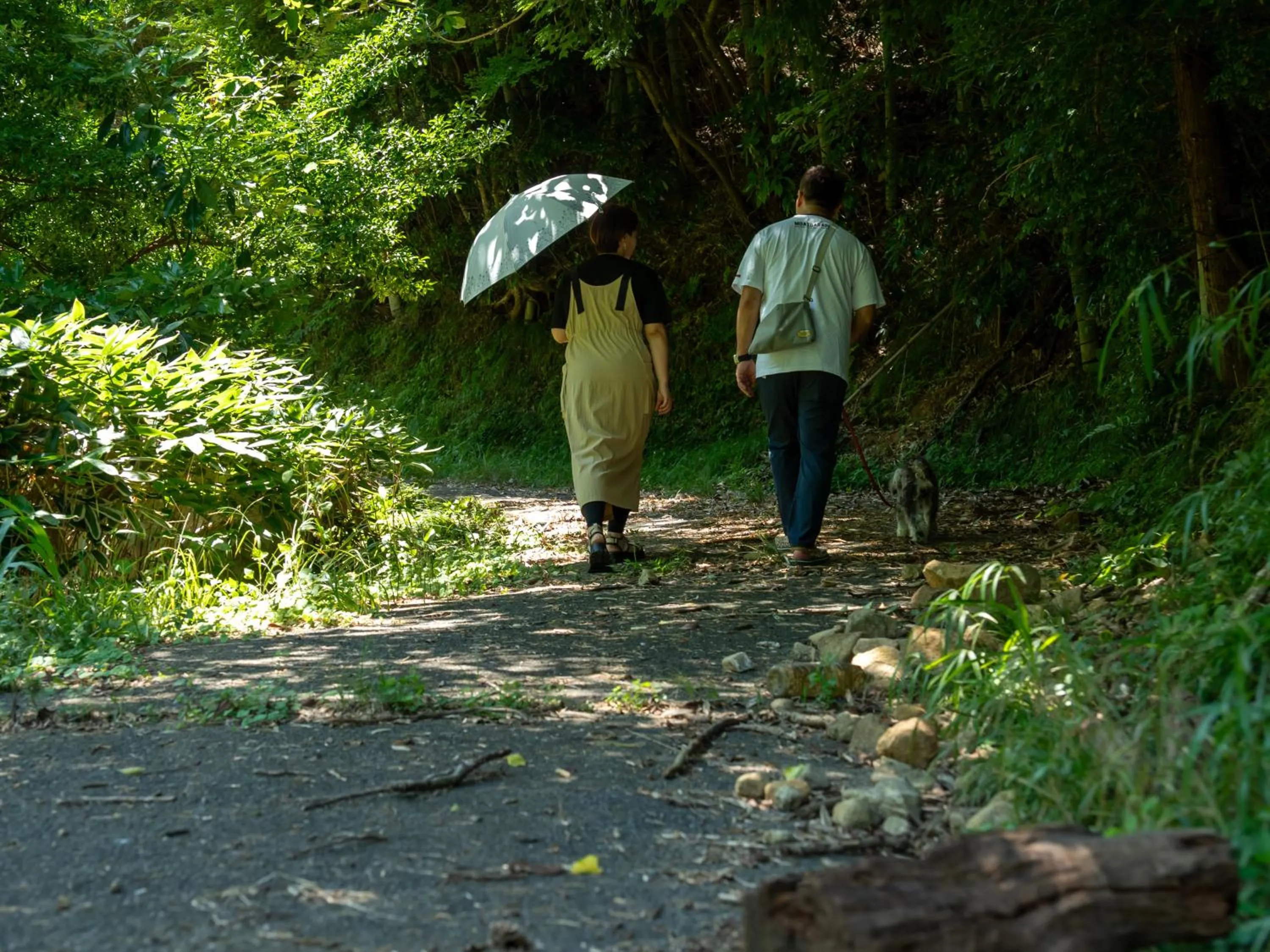 Animals in Farm Garden Hotel