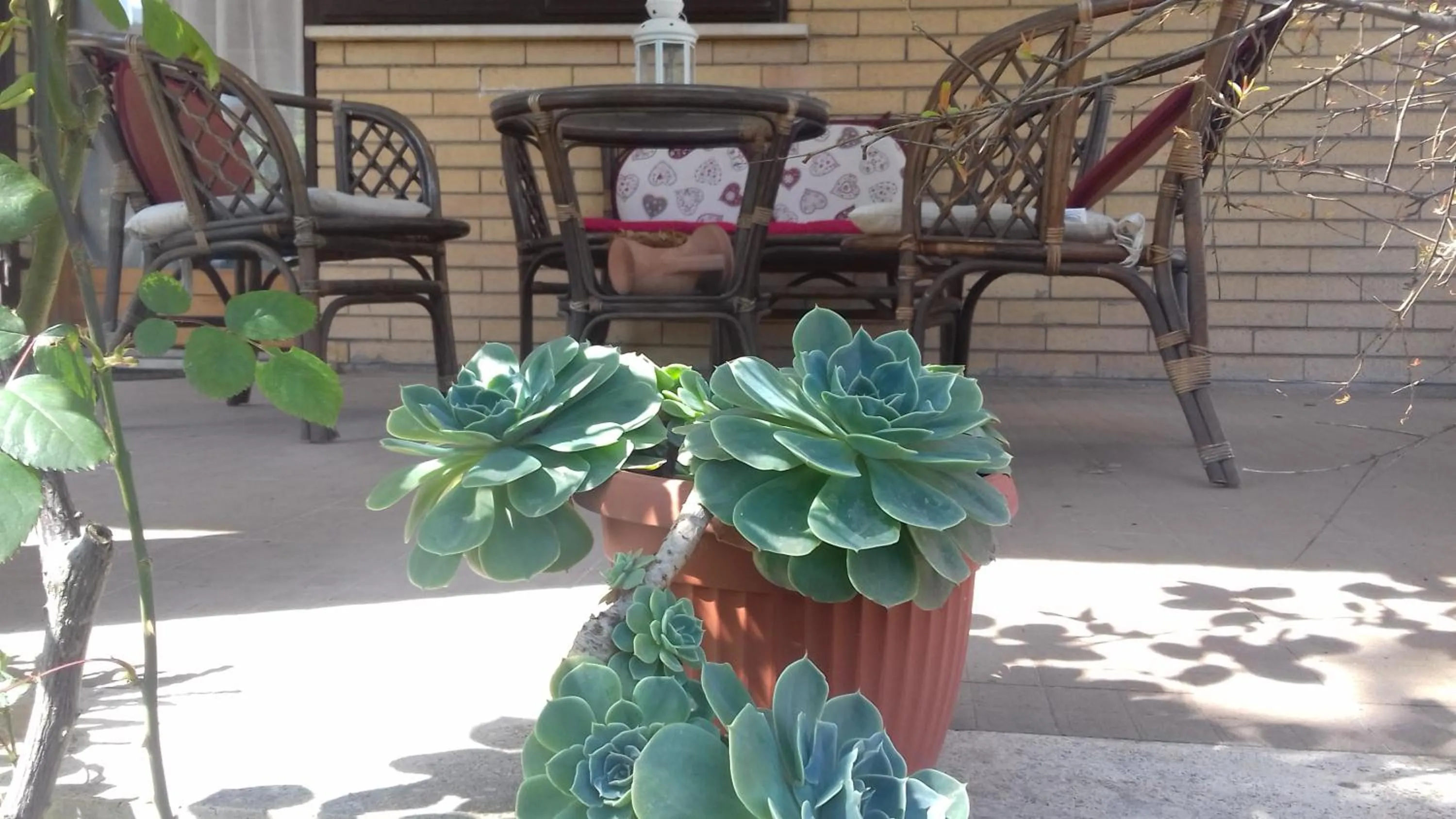 Patio in Le Anfore