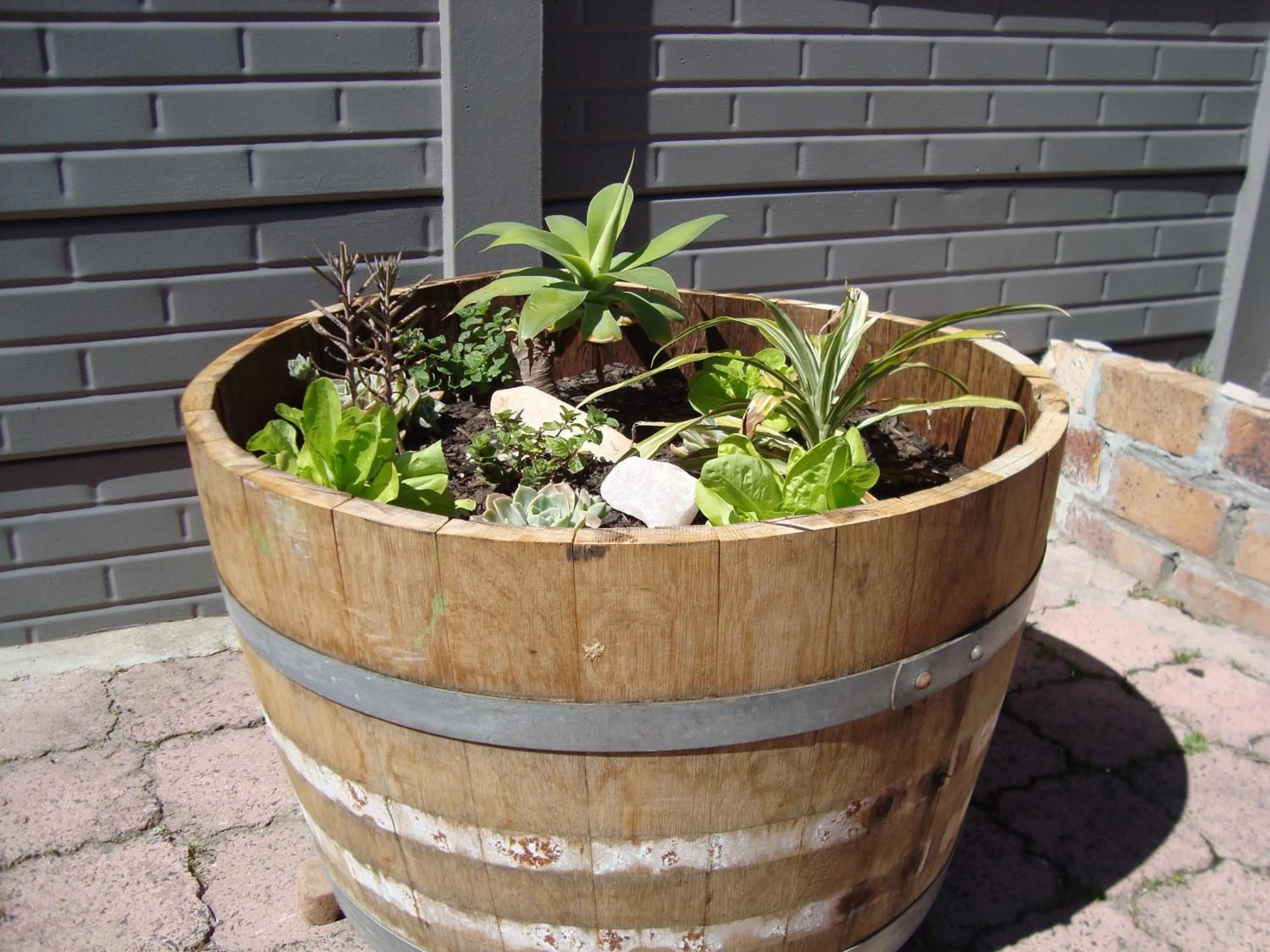 Garden in brookdale house