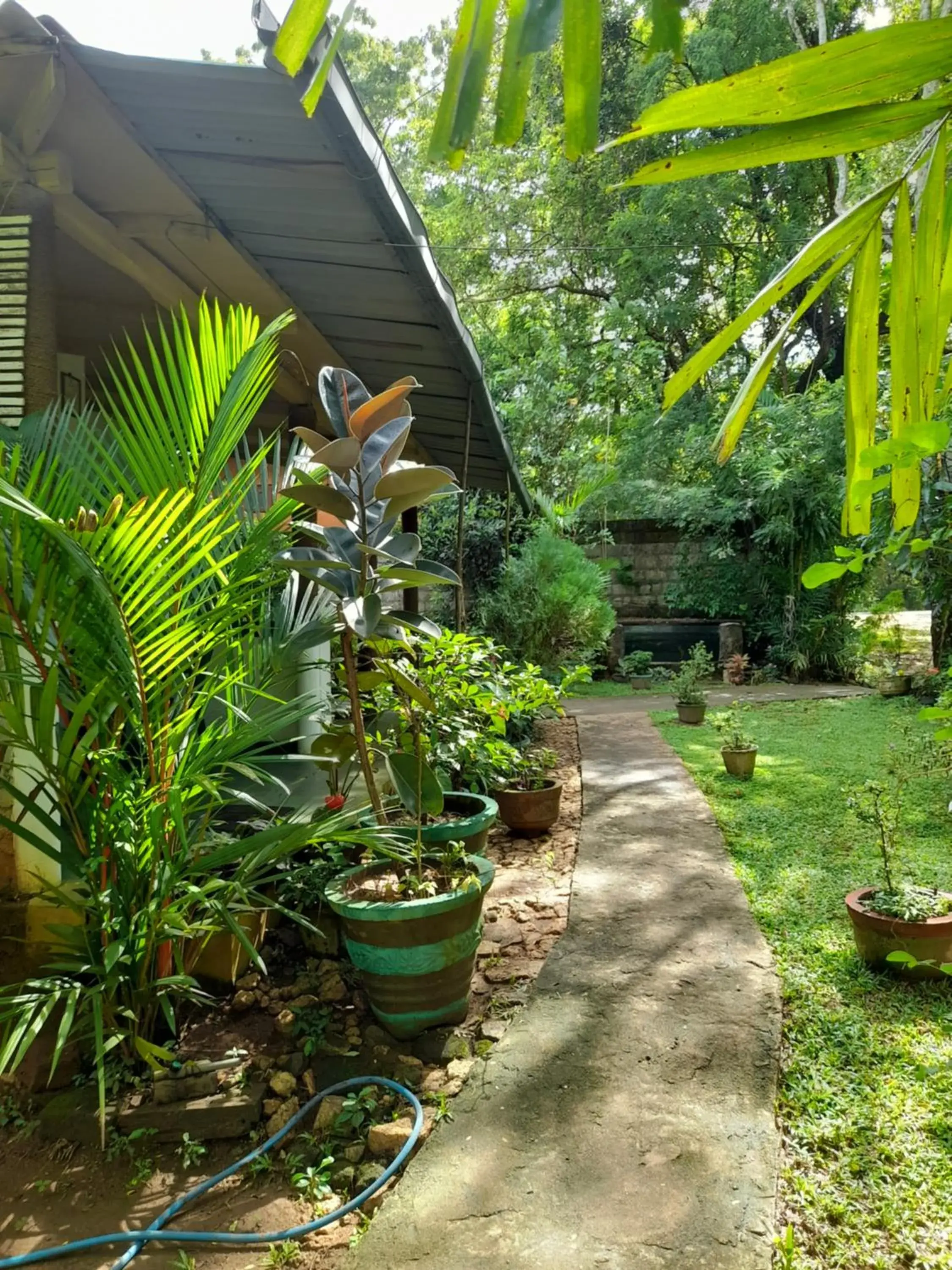 Sigiri Neo Homestay Sigiri Neo Homestay