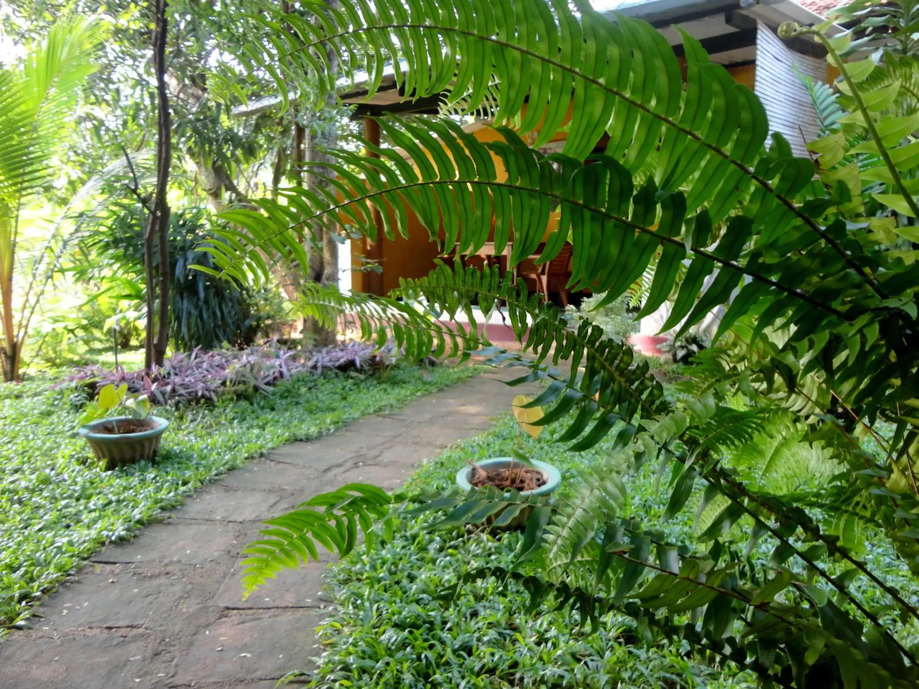 Standard Double Room with Fan - single occupancy in Sigiri Neo Homestay Standard Double Room with Fan - single occupancy in Sigiri Neo Homestay