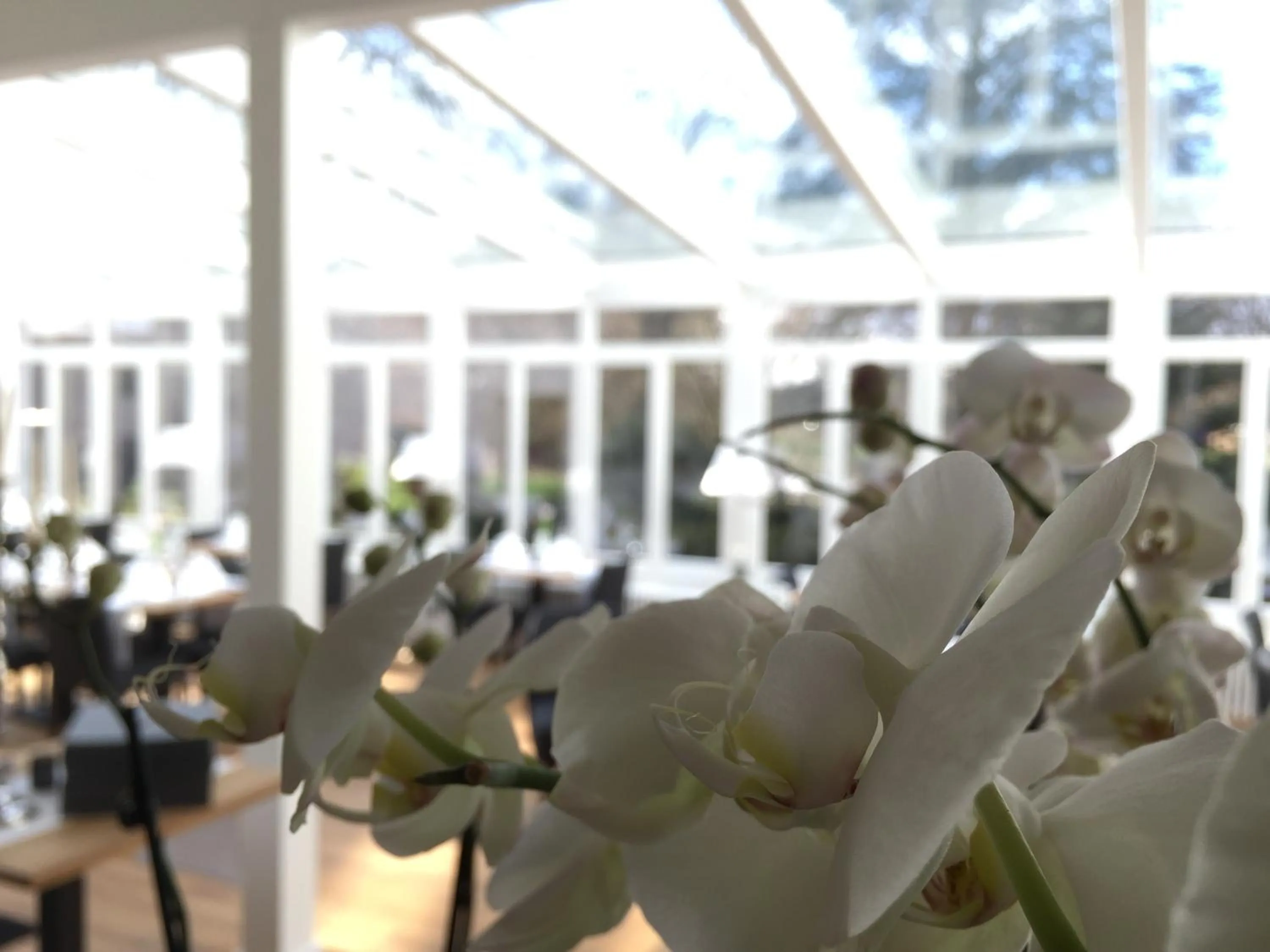 Restaurant/places to eat in Steffens Herrnmuehle