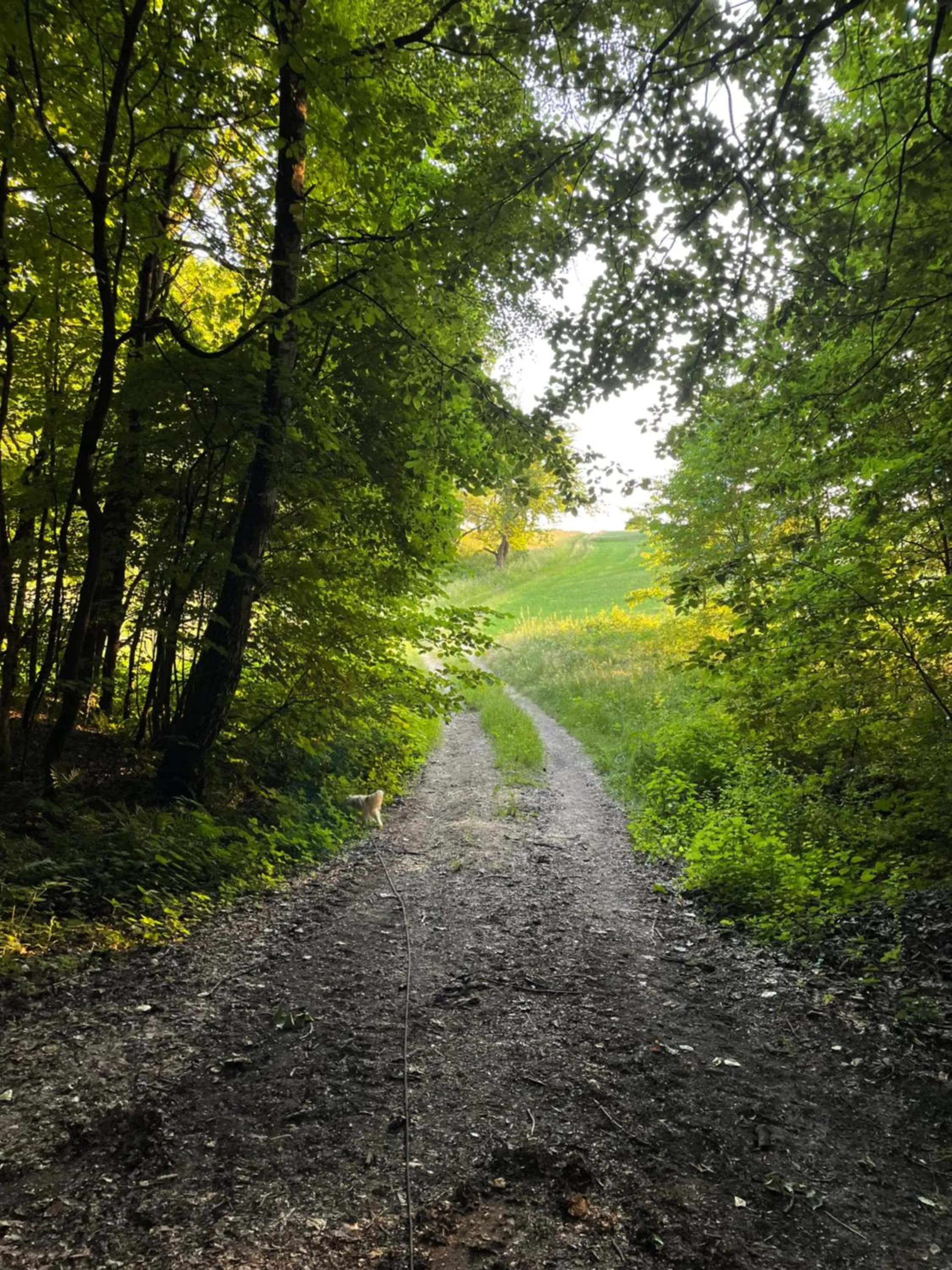 Hiking in Steffens Herrnmuehle