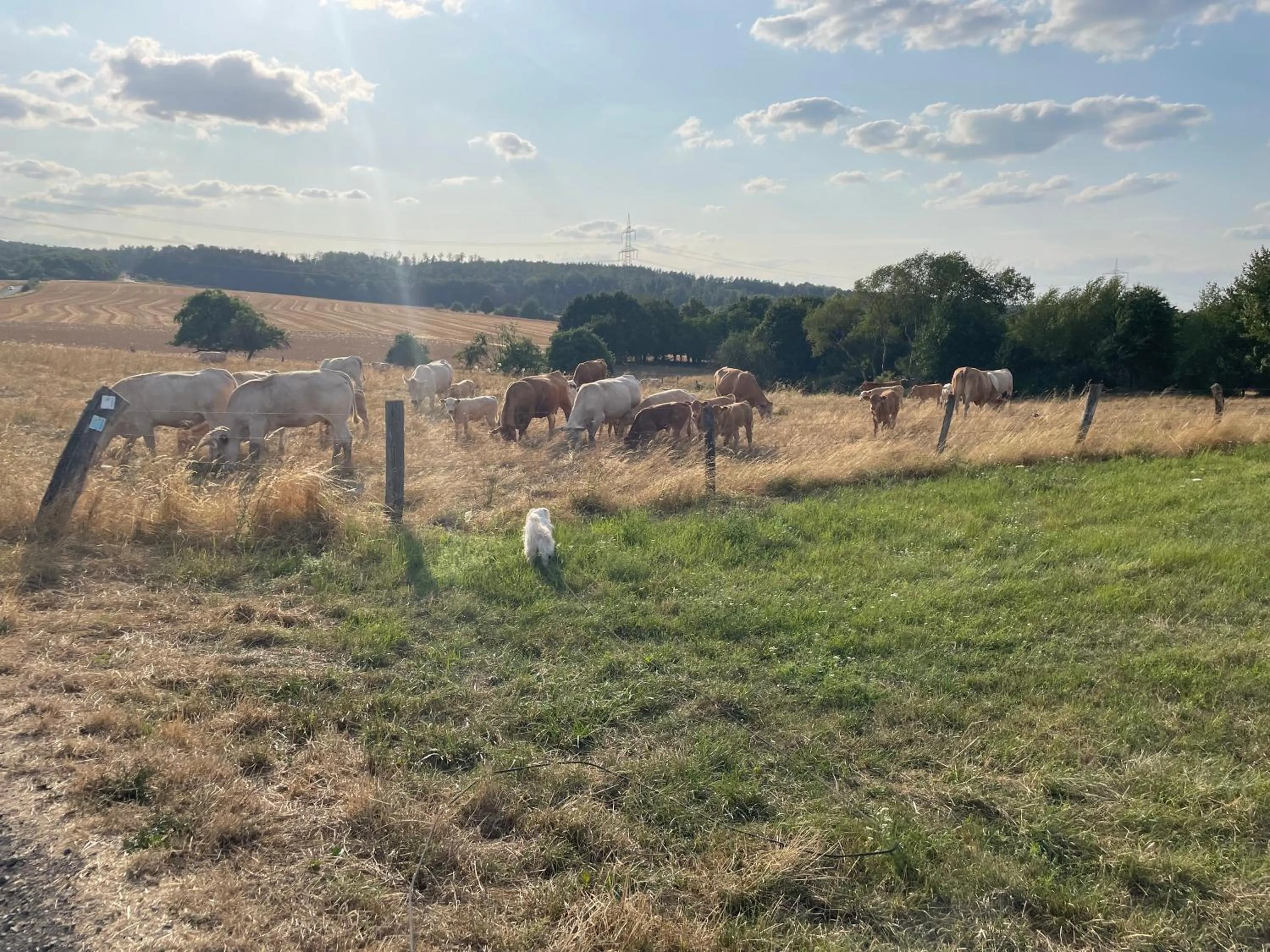 Hiking in Steffens Herrnmuehle