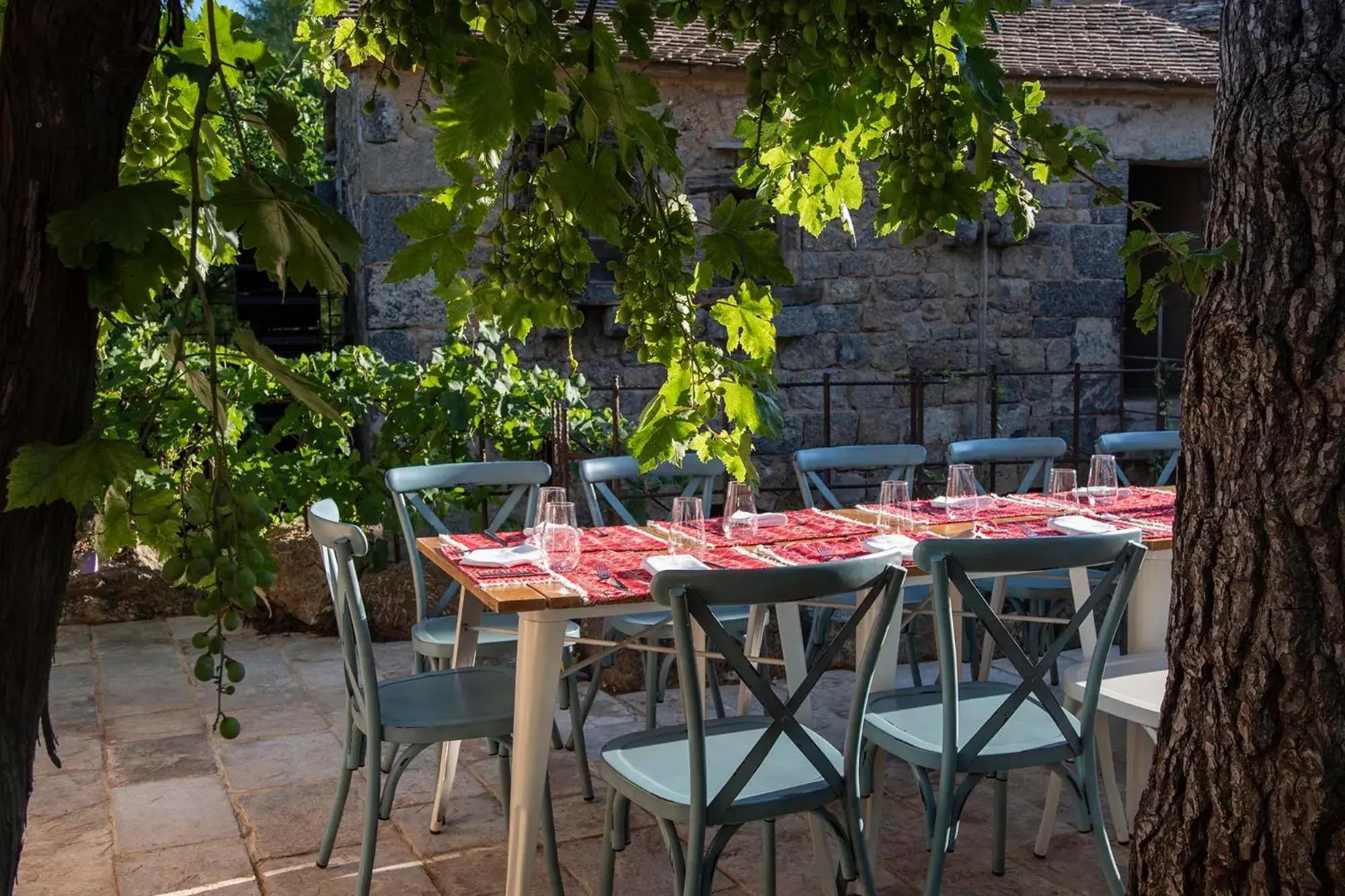 Restaurant/places to eat in Amadria Park Family Hotel Jakov Restaurant/places to eat in Amadria Park Family Hotel Jakov