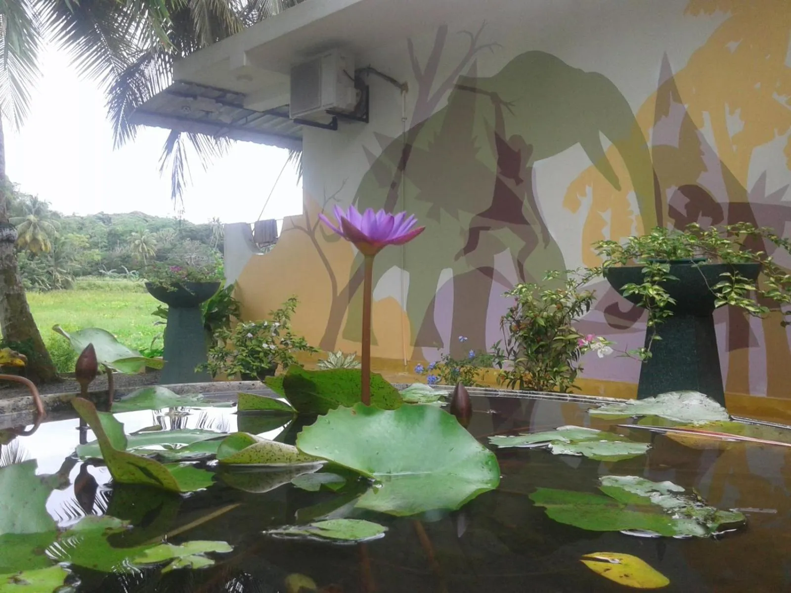 Garden in Paddy Field View Resort