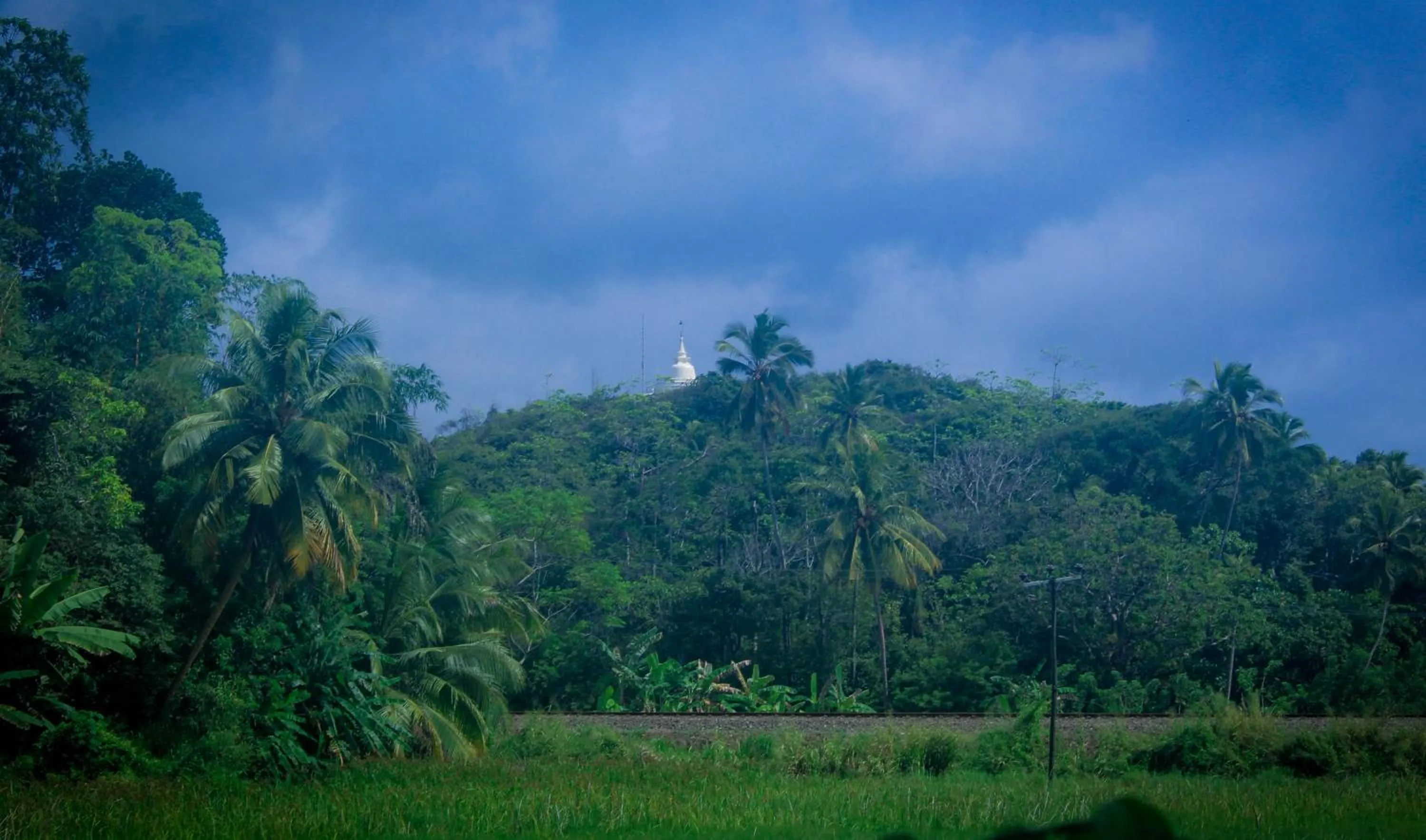 View (from property/room) in Paddy Field View Resort