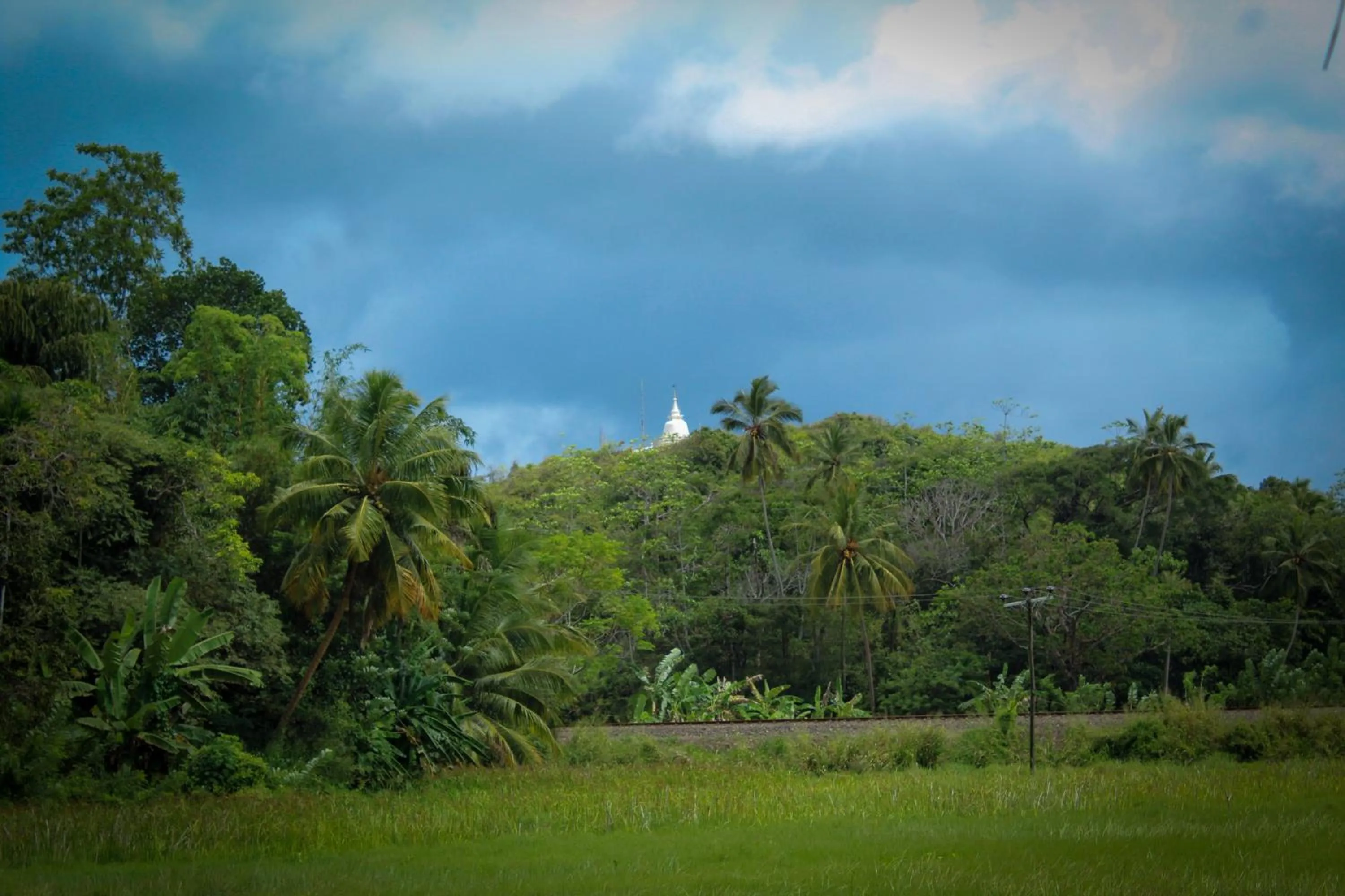Natural landscape in Paddy Field View Resort