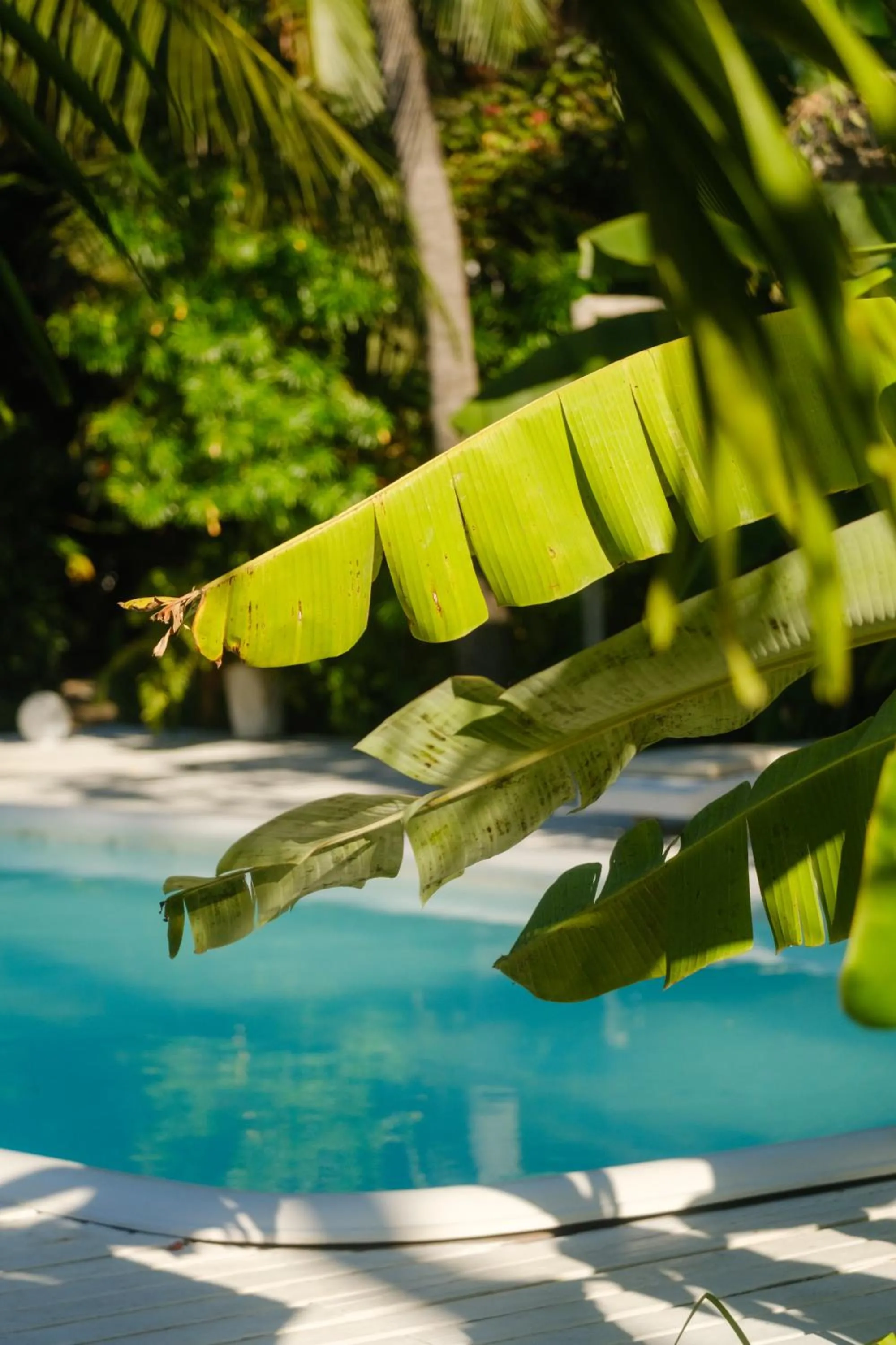 Pousada Pais Tropical