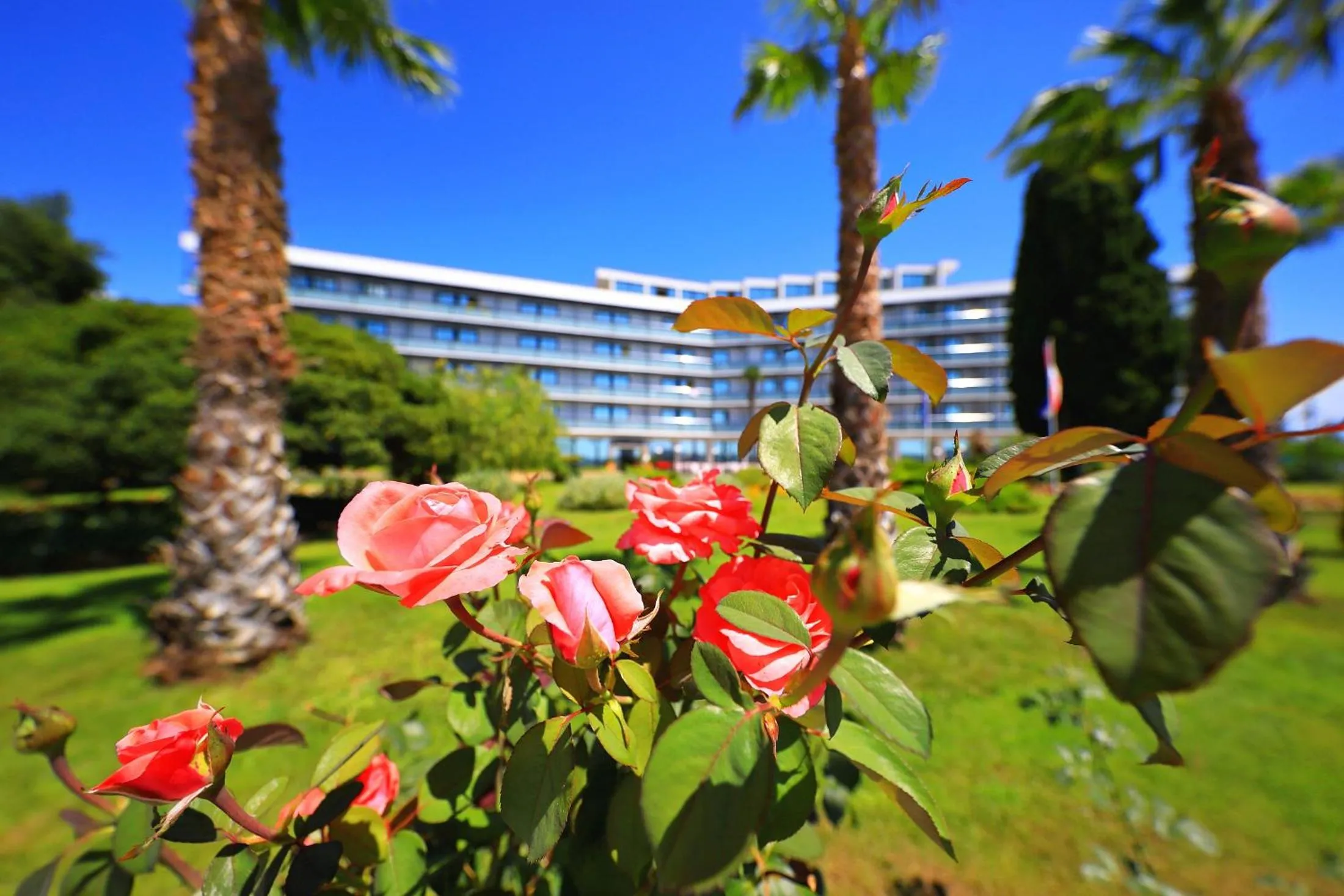 Garden in Ilirija Resort Hotel Ilirija