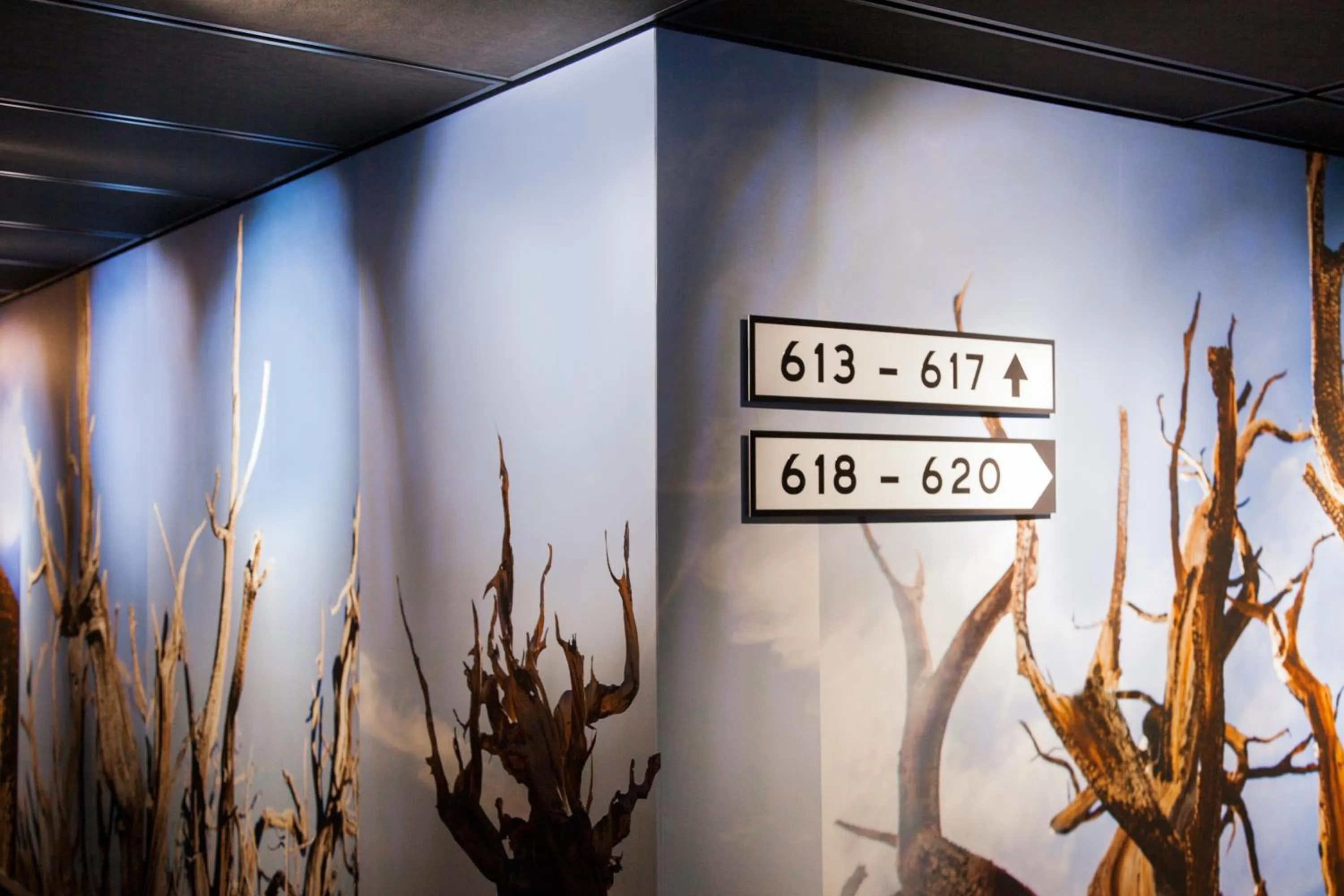 Property building in Hobo Hotel Stockholm