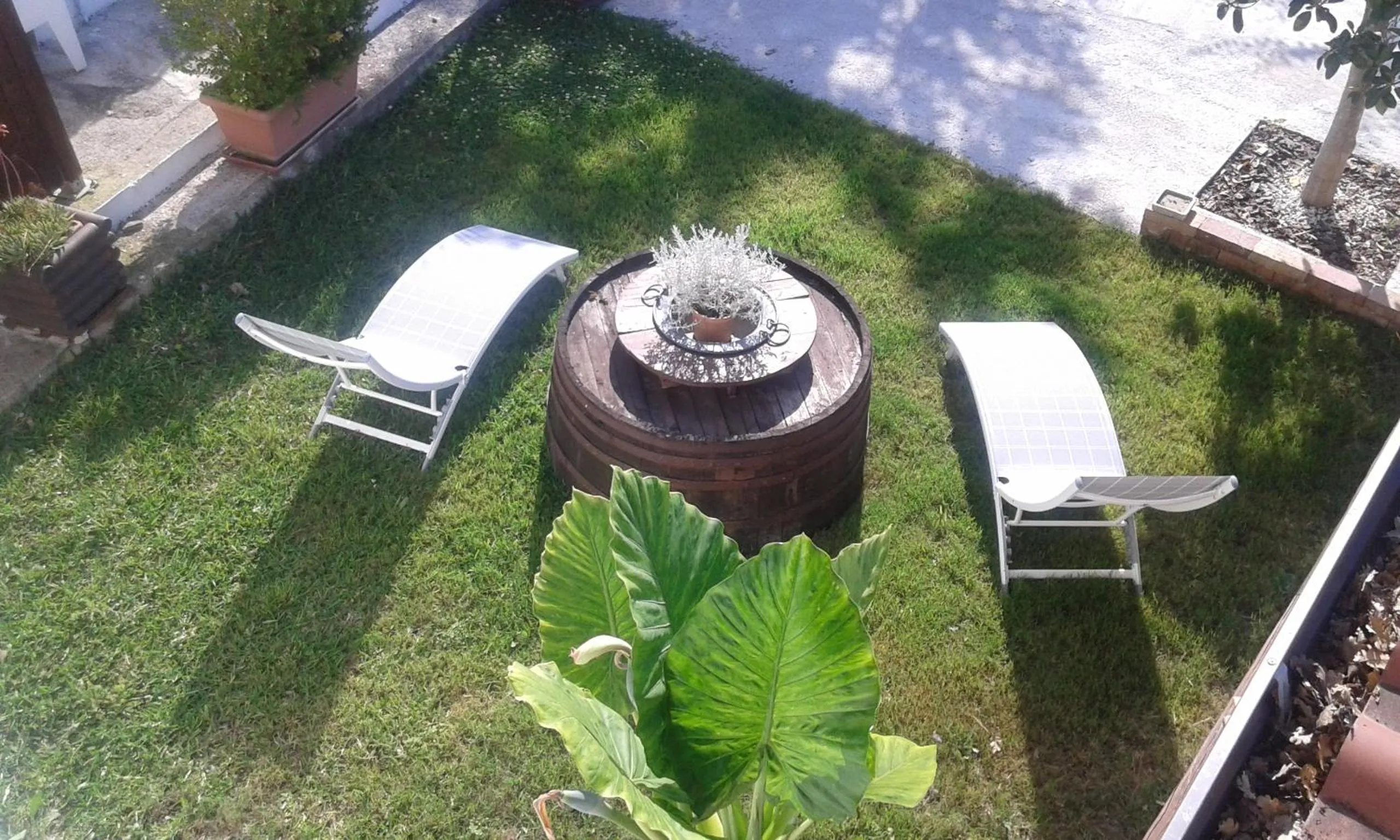 Garden view in Il Patio Del Cilento