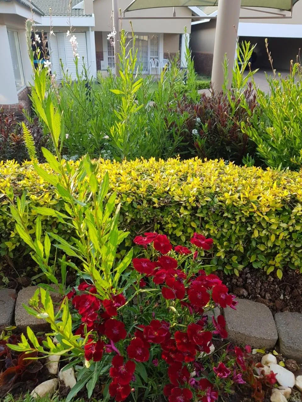 Natural landscape in Jolani Guest House