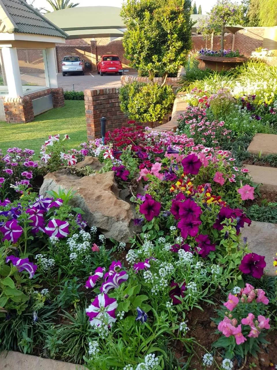 Summer in Jolani Guest House