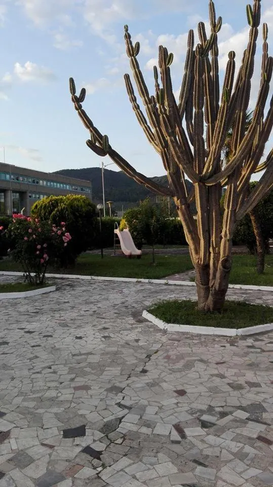 Garden in Villa Arechi