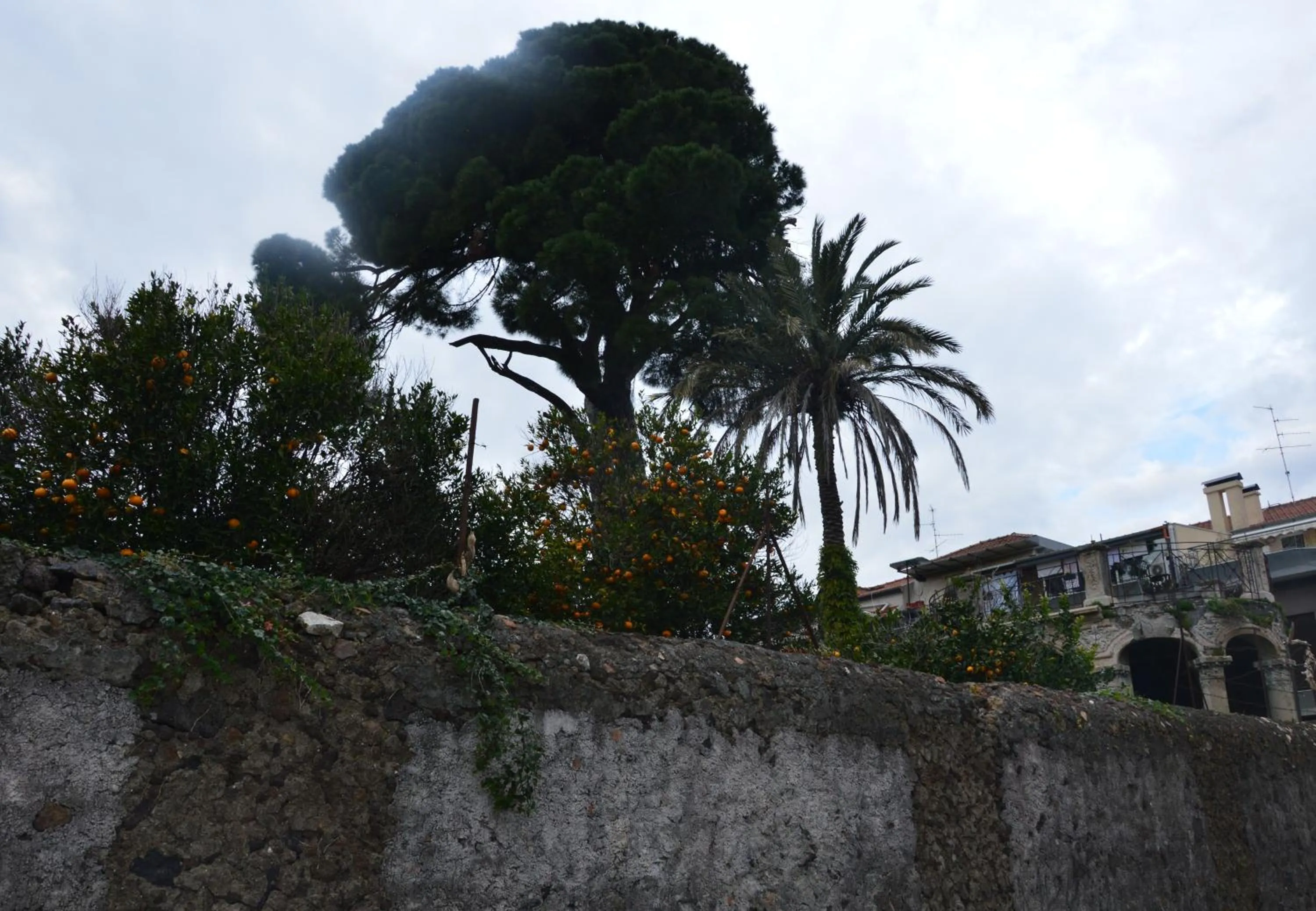Nearby landmark in B&B Vicolo del Chiostro