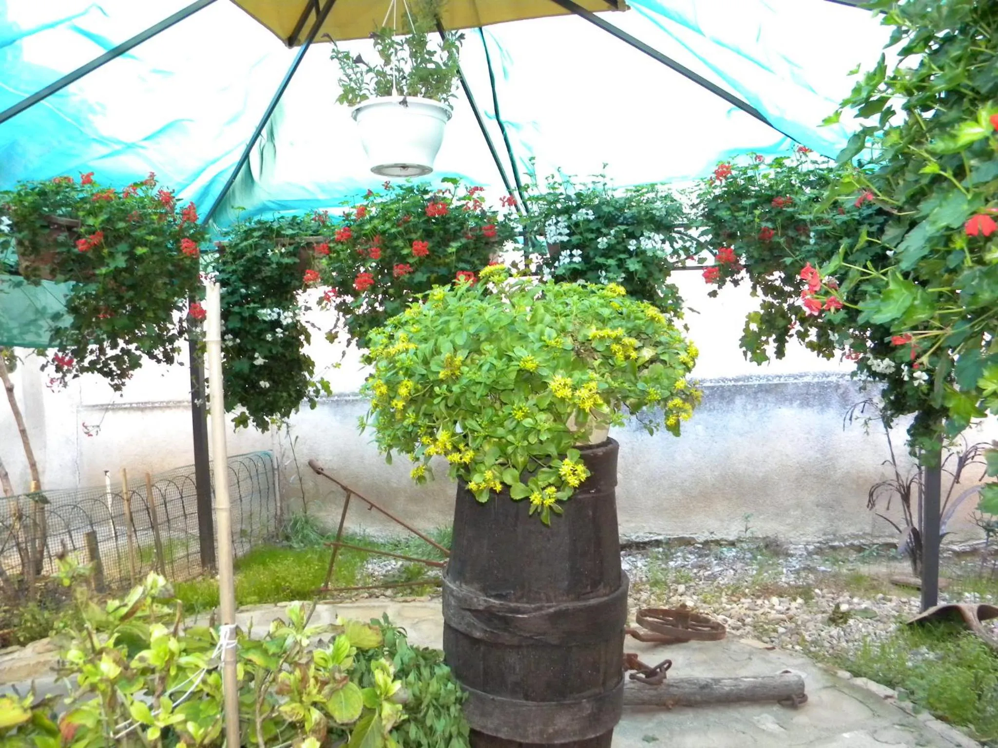 Garden in La Casa dellAmericano - Casa d'epoca anni '30