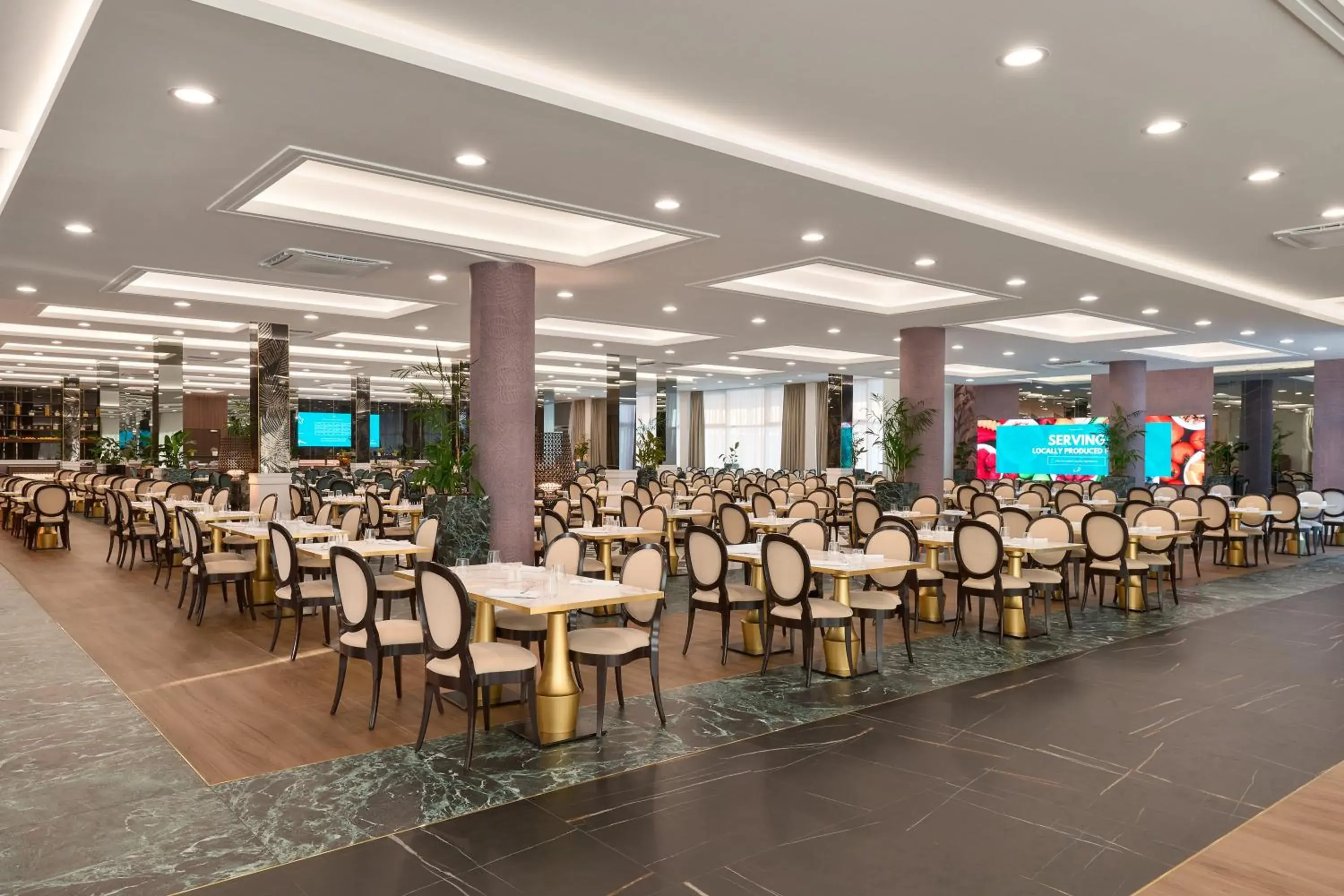 Restaurant/places to eat in Hotel Olympia Restaurant/places to eat in Hotel Olympia