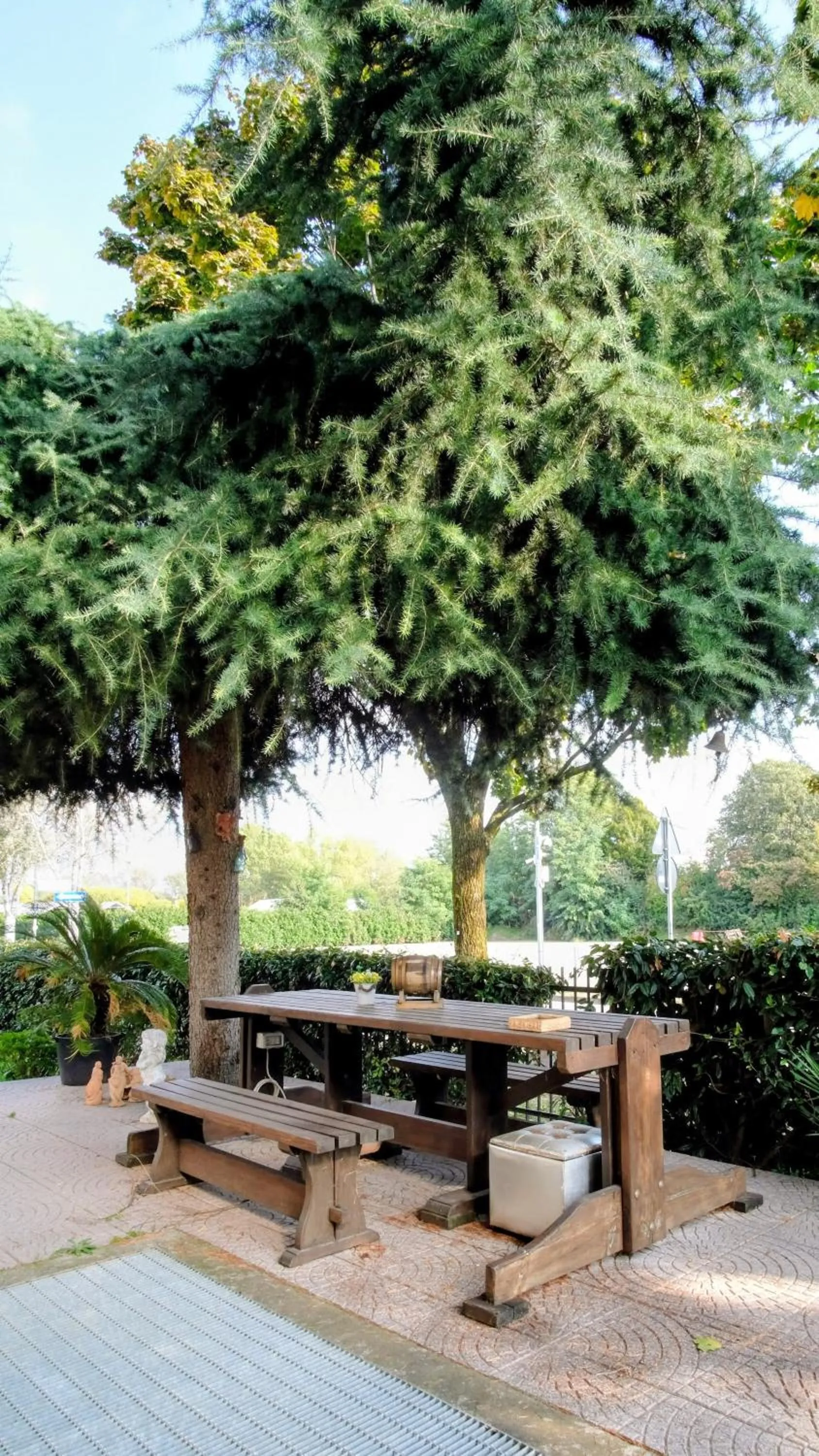 Garden in B&B da Jordan