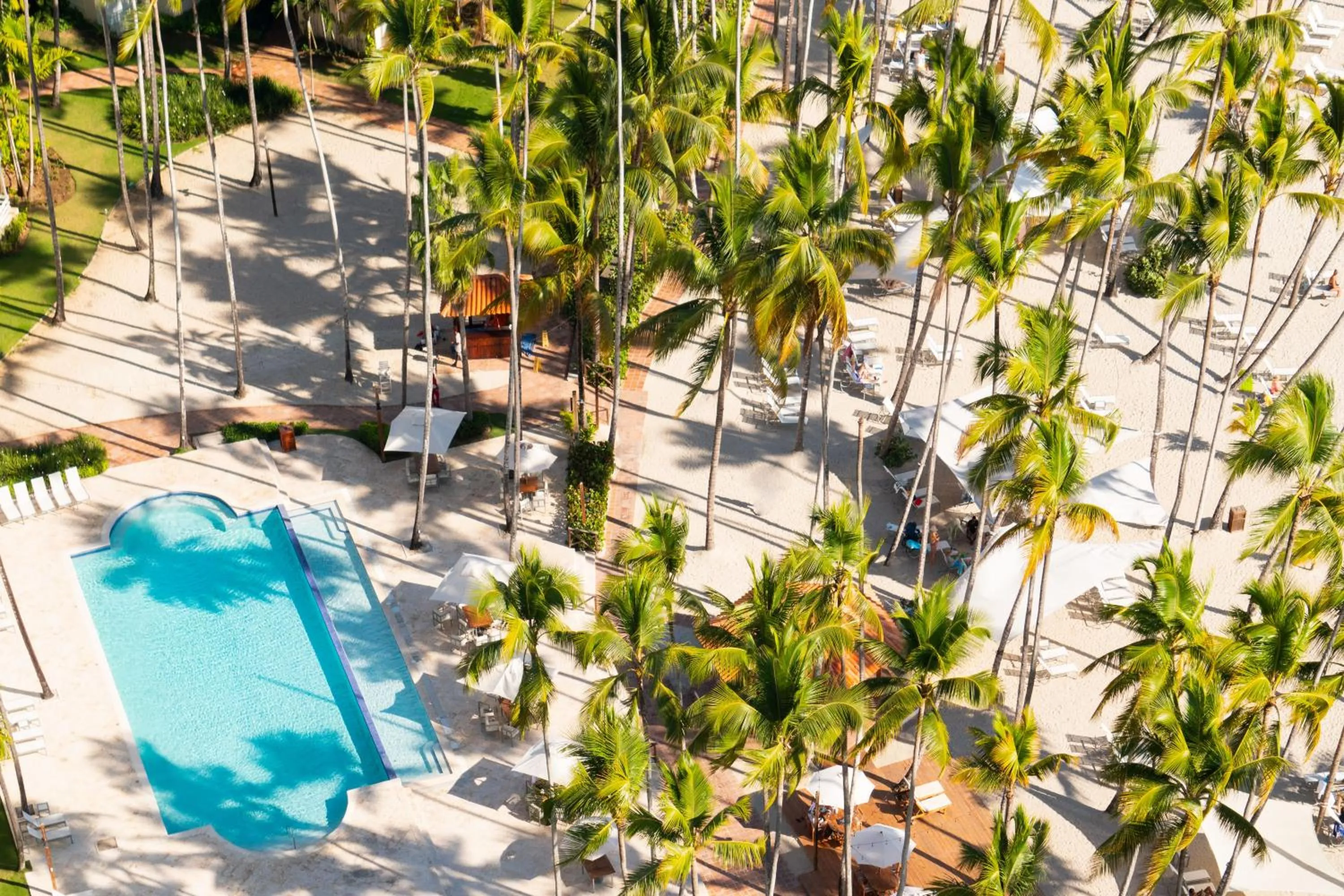 Swimming pool in Hotel Casa Hemingway