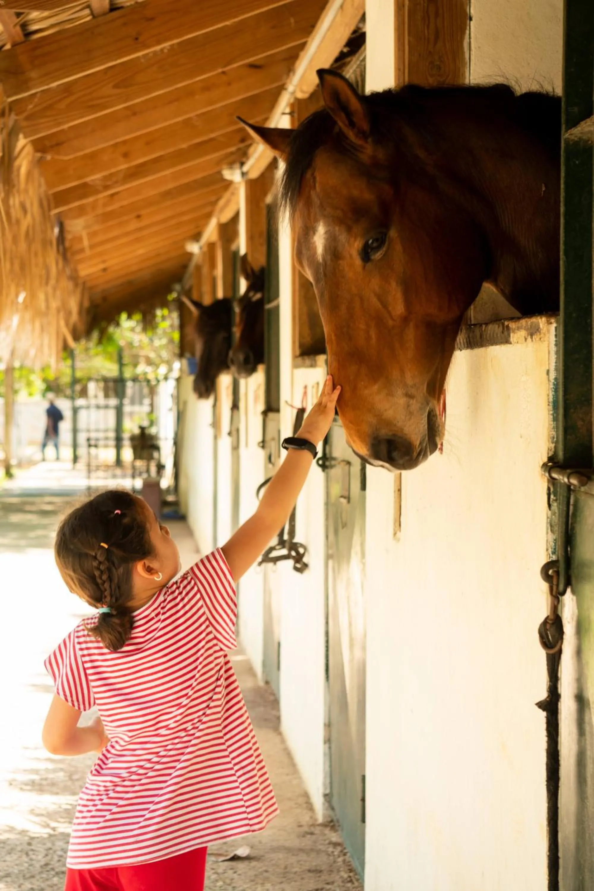 Property building in Hotel Casa Hemingway
