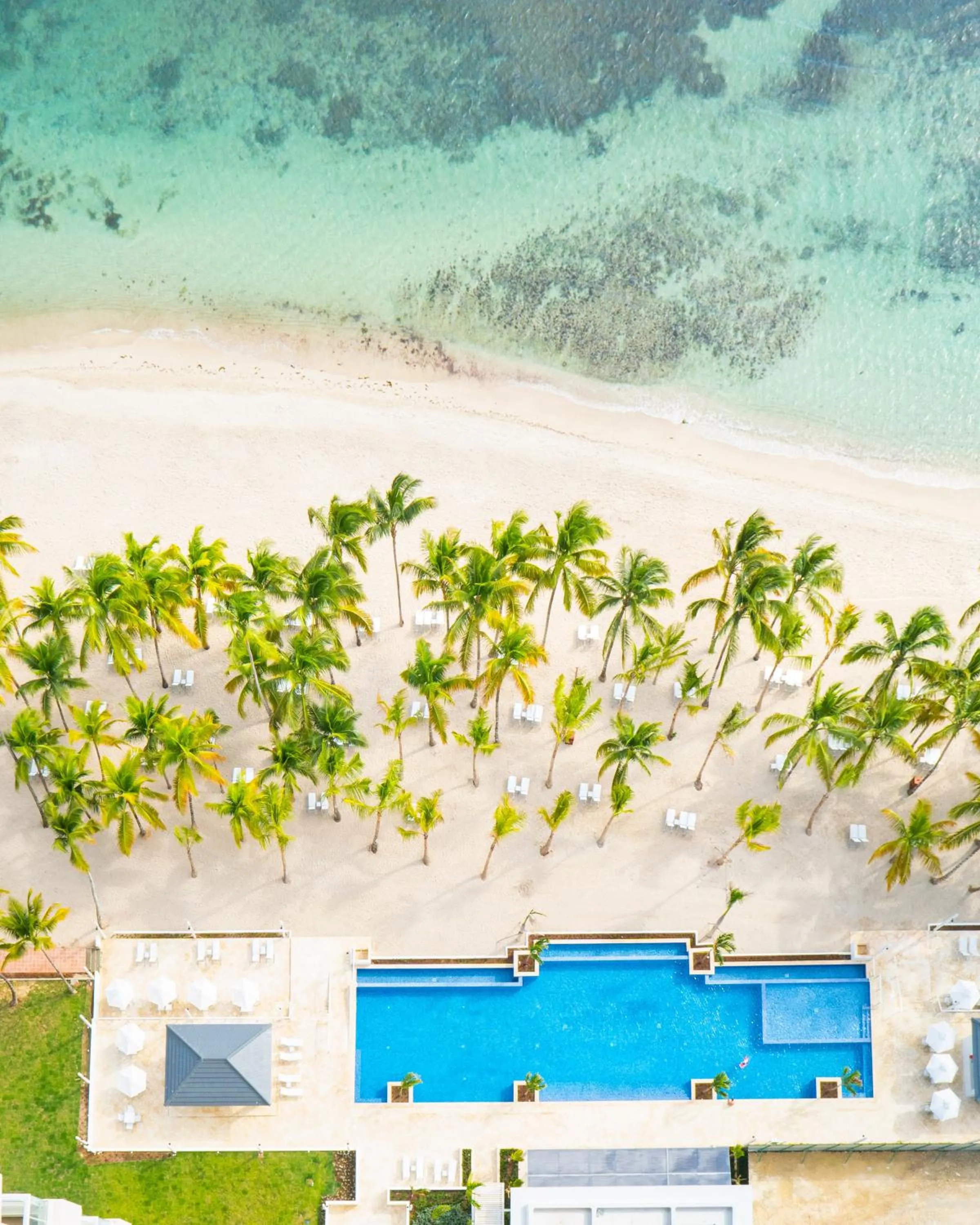 Restaurant/places to eat in Hotel Casa Hemingway