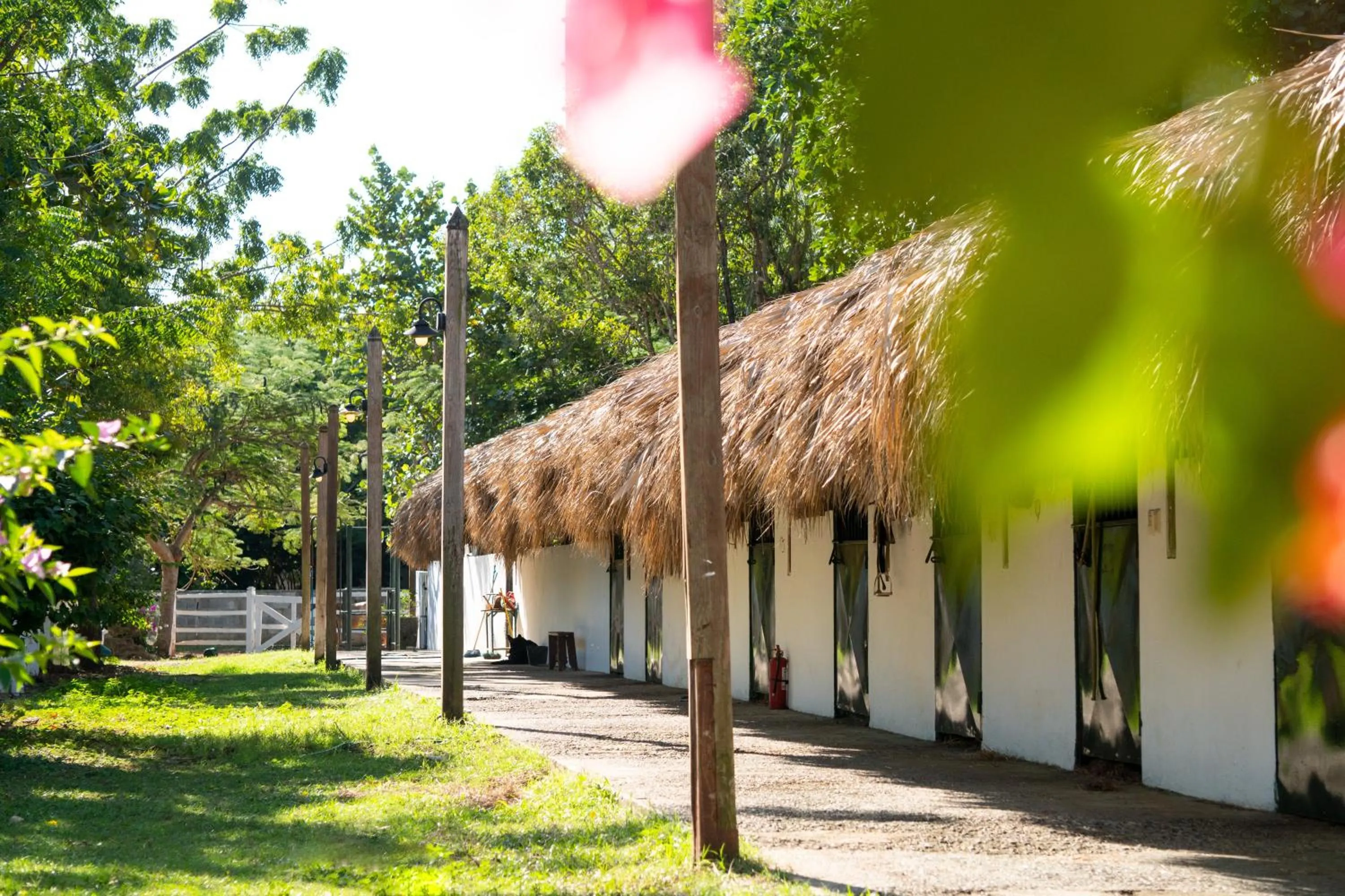Horse-riding in Hotel Casa Hemingway