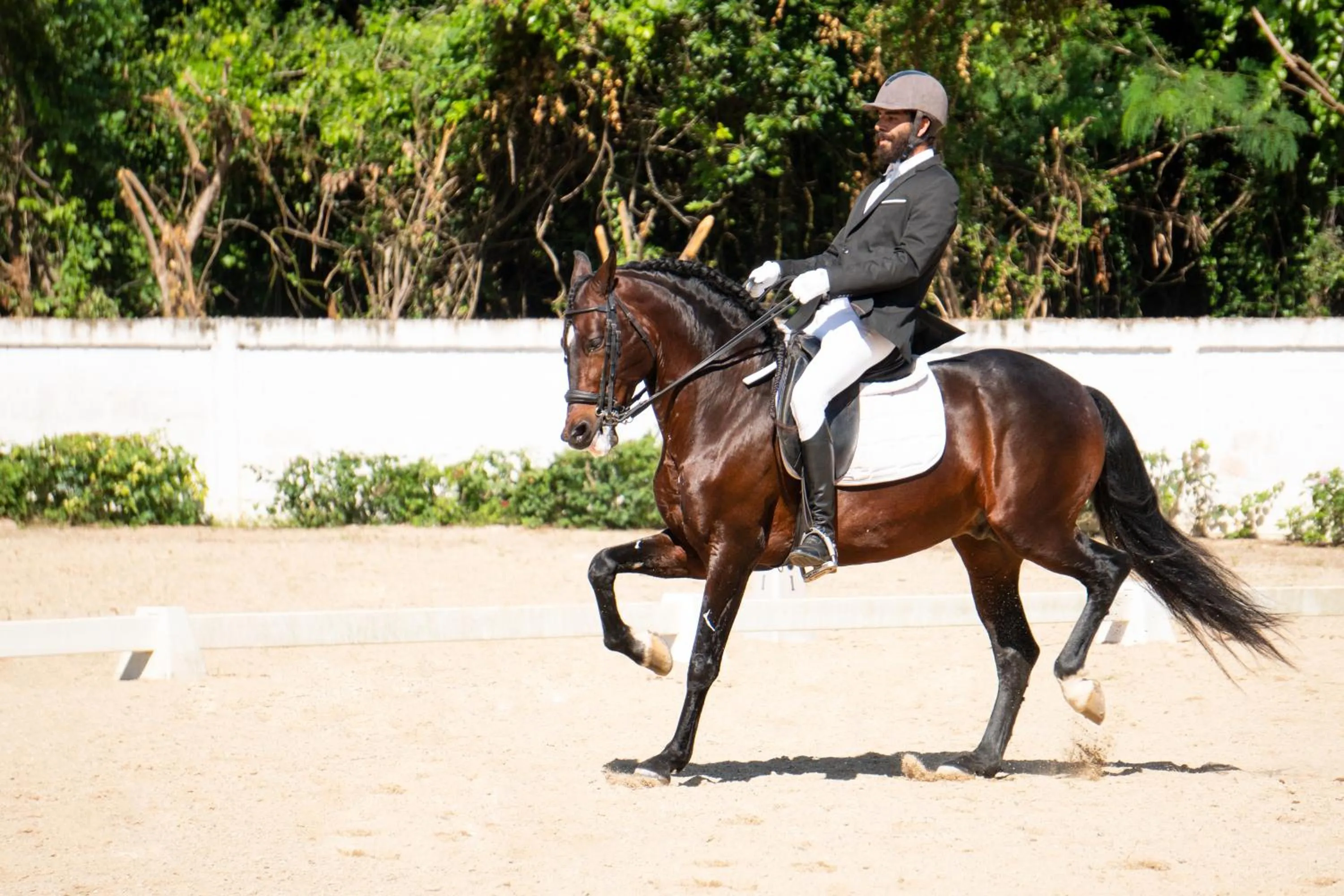 Horse-riding in Hotel Casa Hemingway