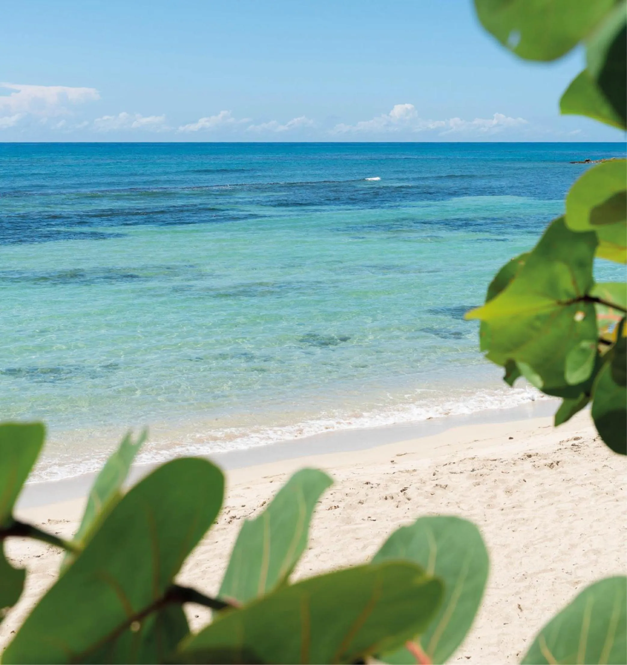 Beach in Hotel Casa Hemingway