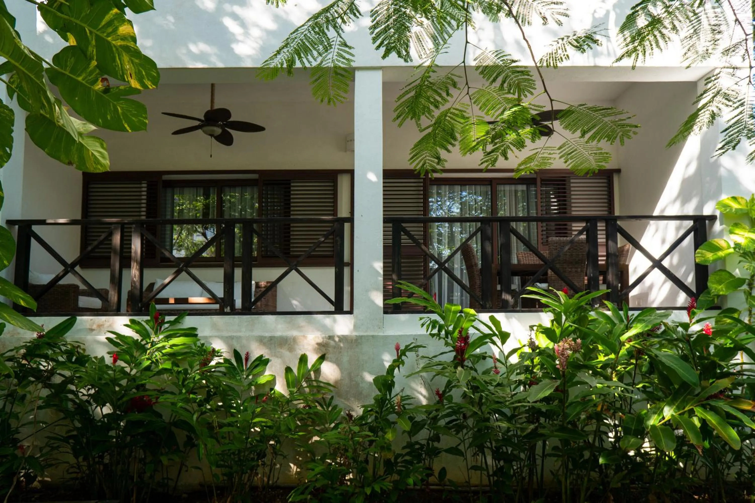 Balcony/Terrace in Hotel Casa Hemingway