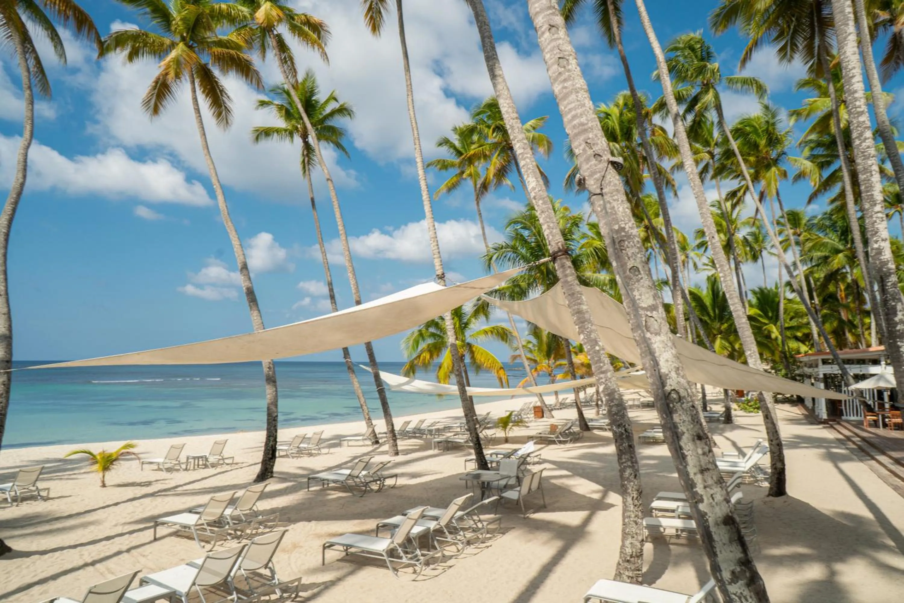 Restaurant/places to eat in Hotel Casa Hemingway