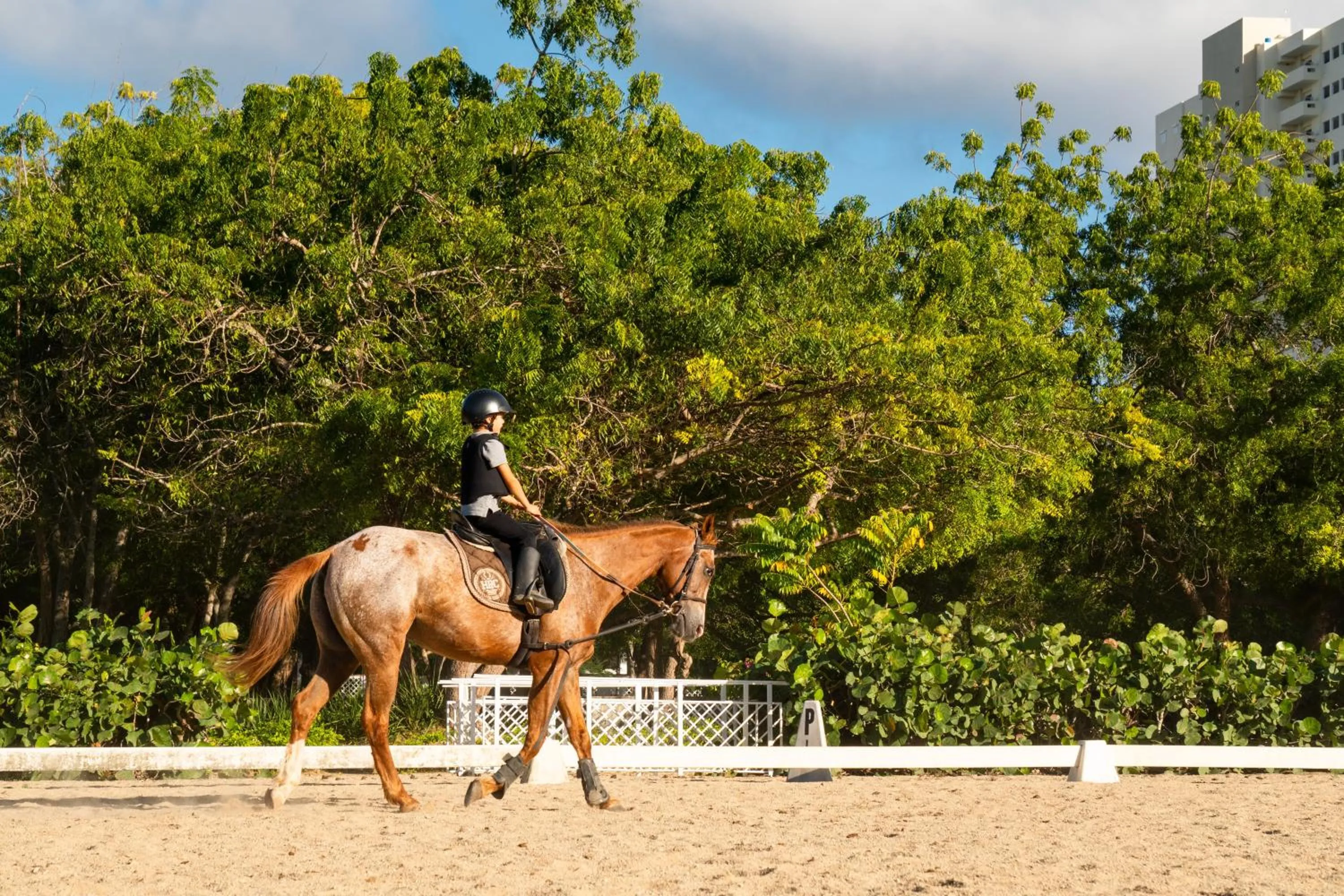 Horse-riding in Hotel Casa Hemingway