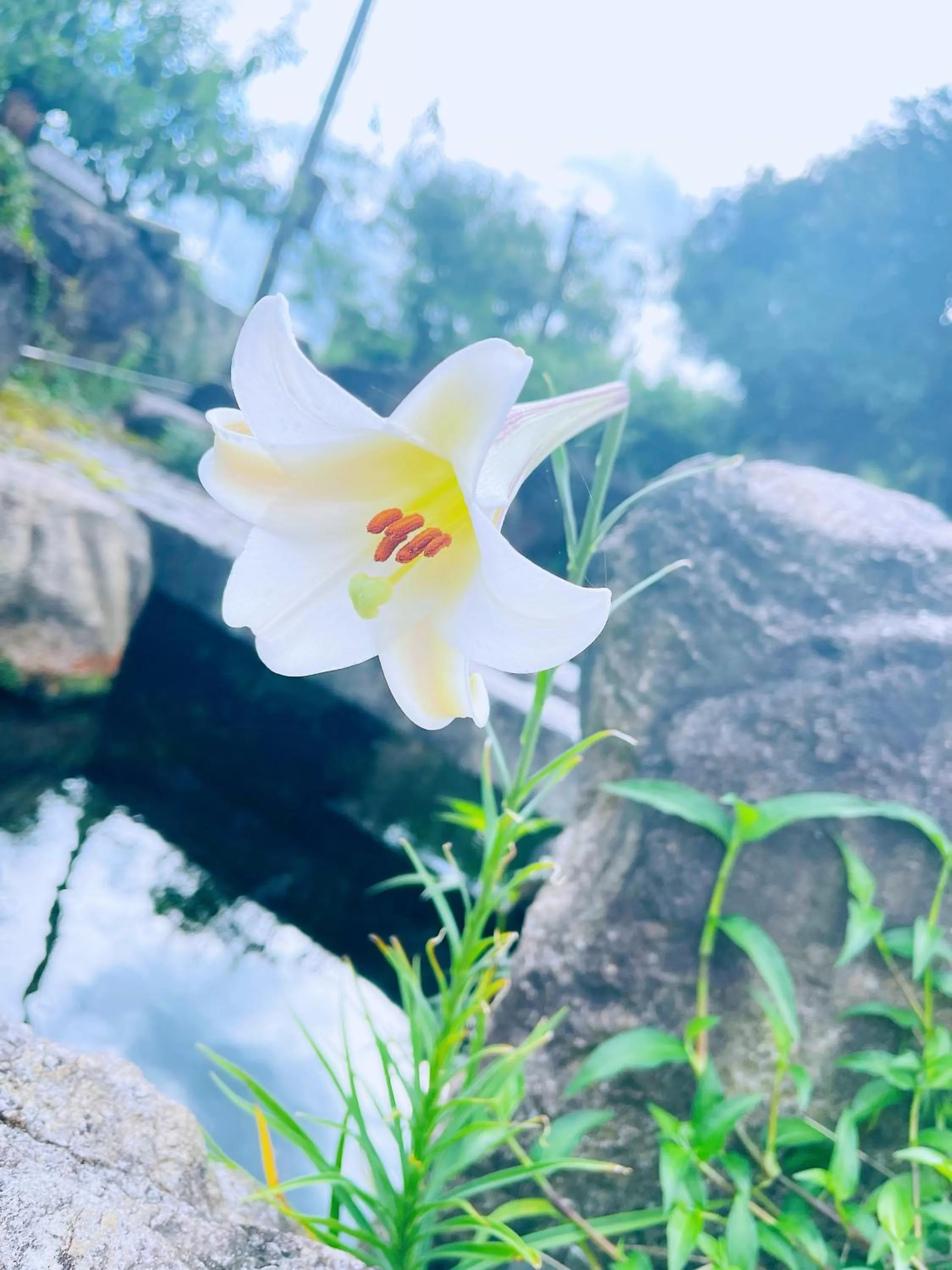 Shiga Biwa Lake Shanshui House