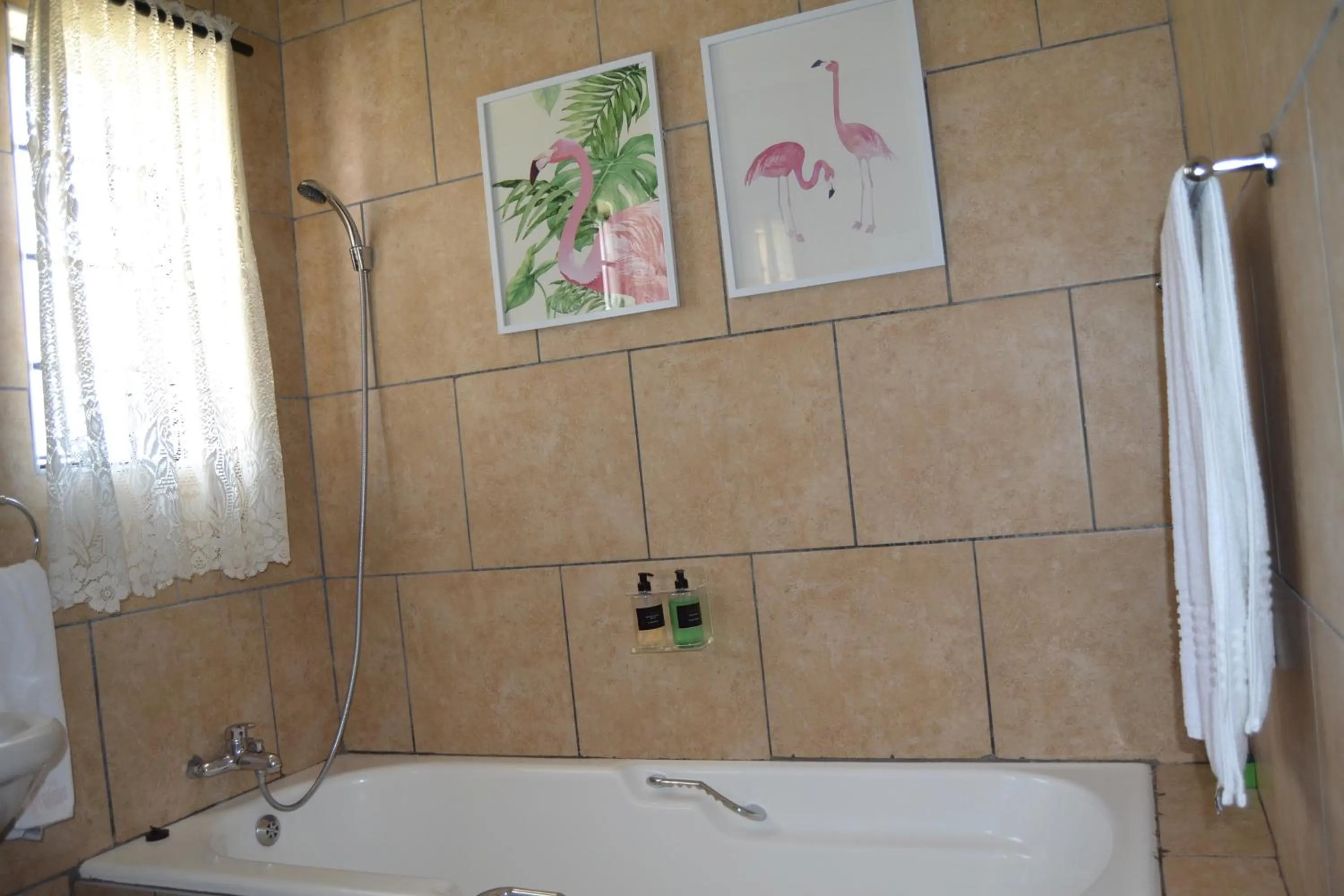 Bath in Ditsaleng Bed and Breakfast