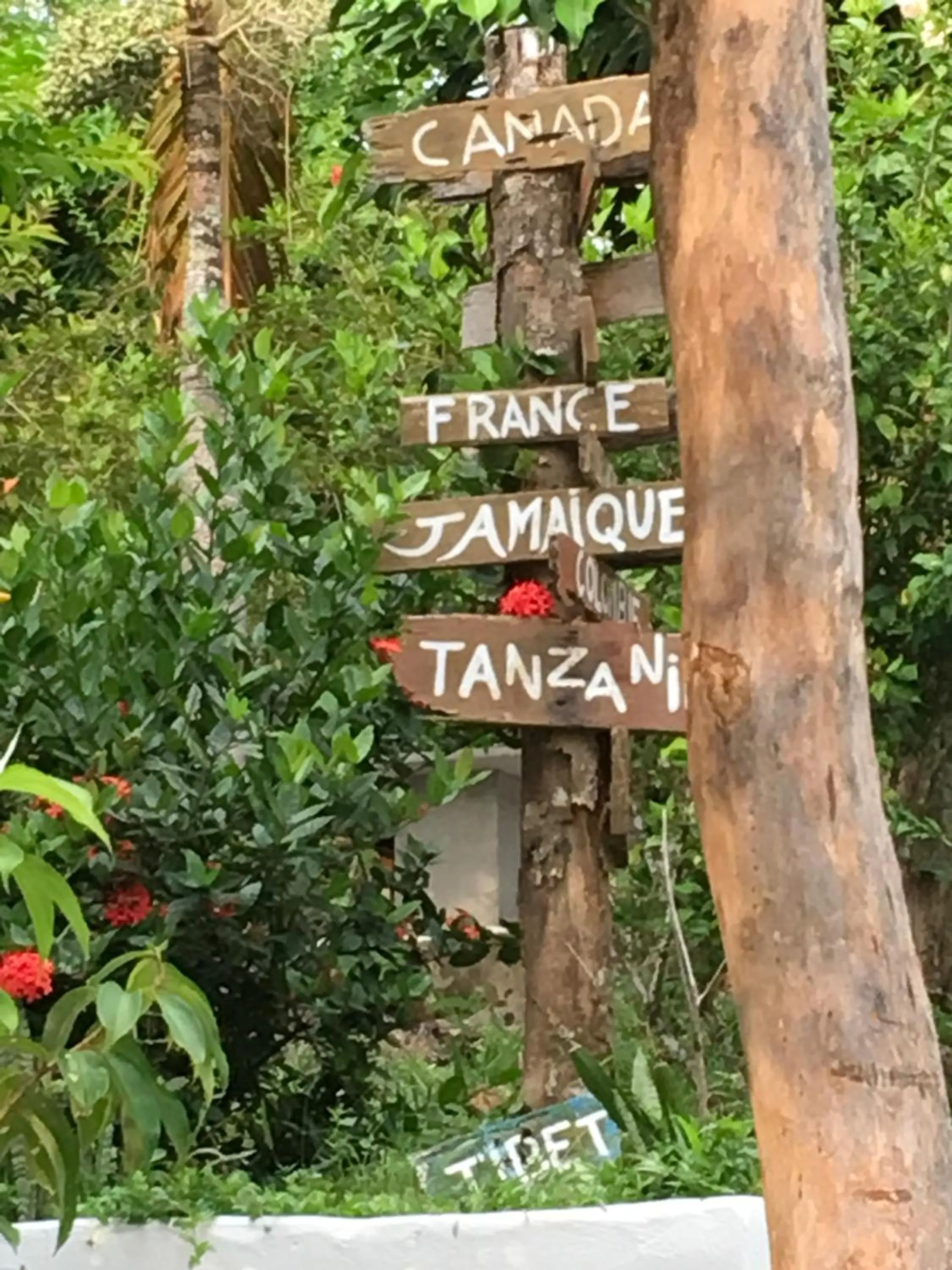 Garden in Oon Lee Bungalows