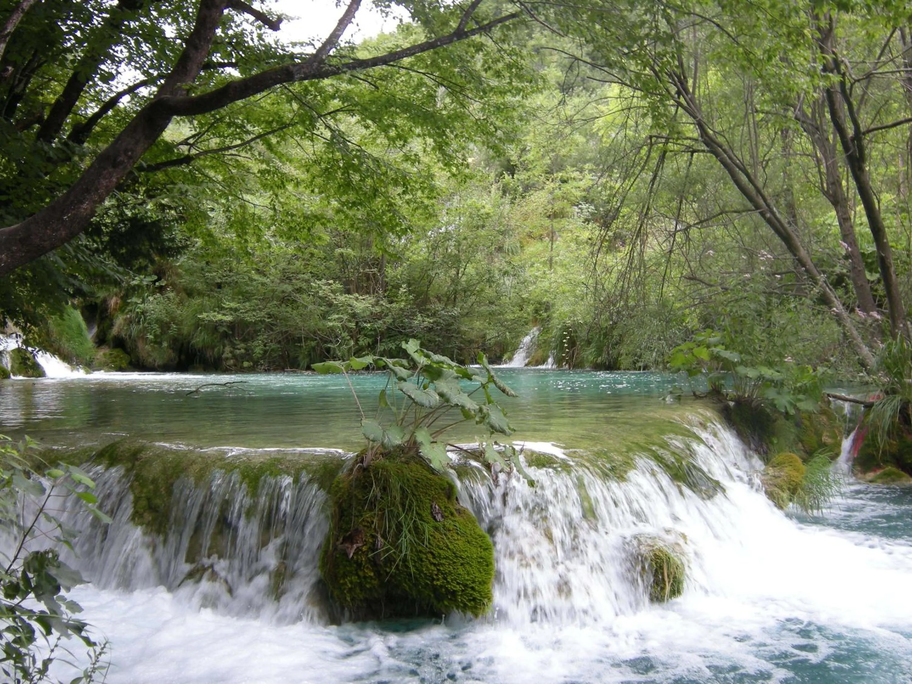 Spring in House Tina