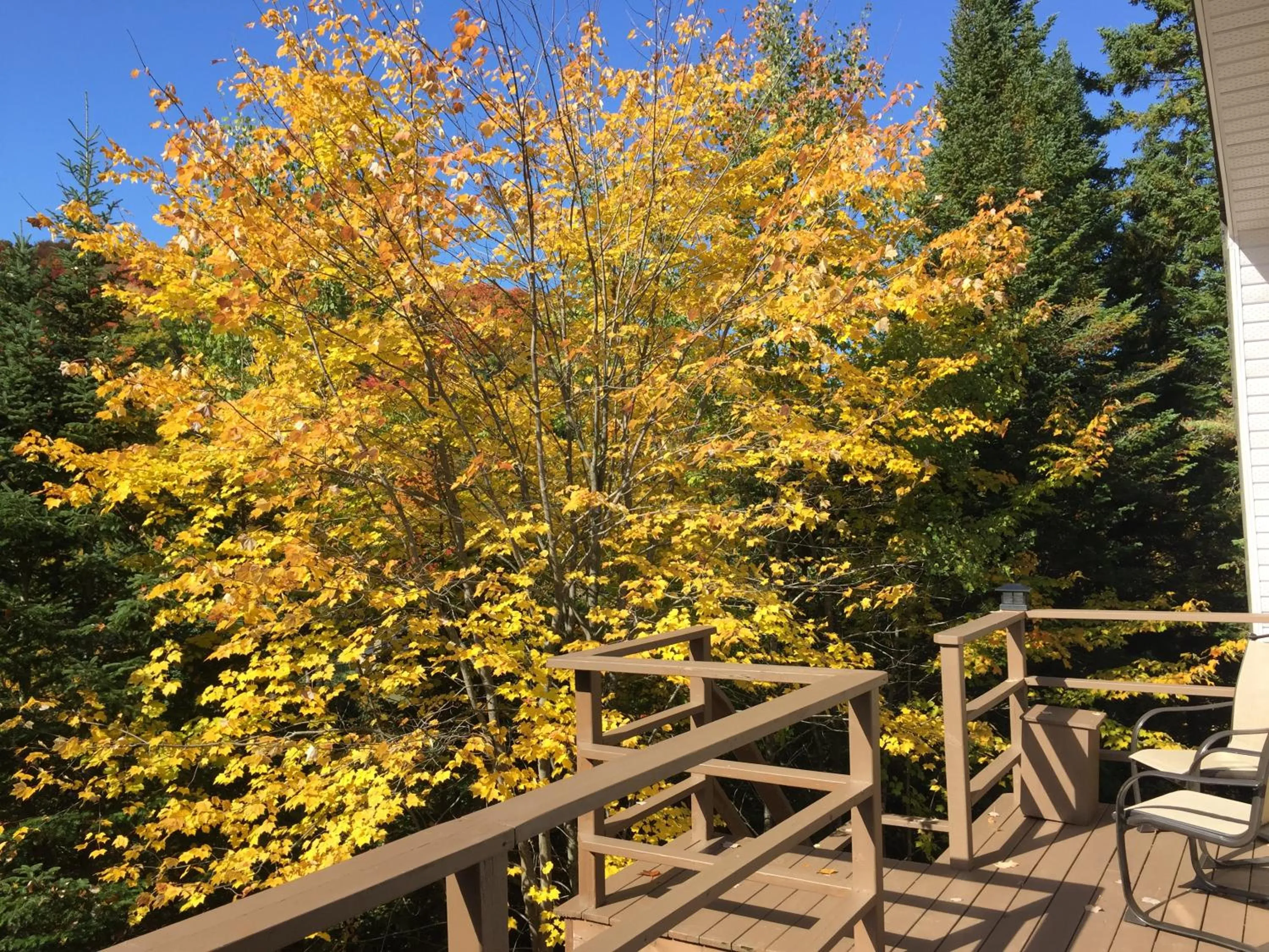 Property building in Loft Nature Laurentides