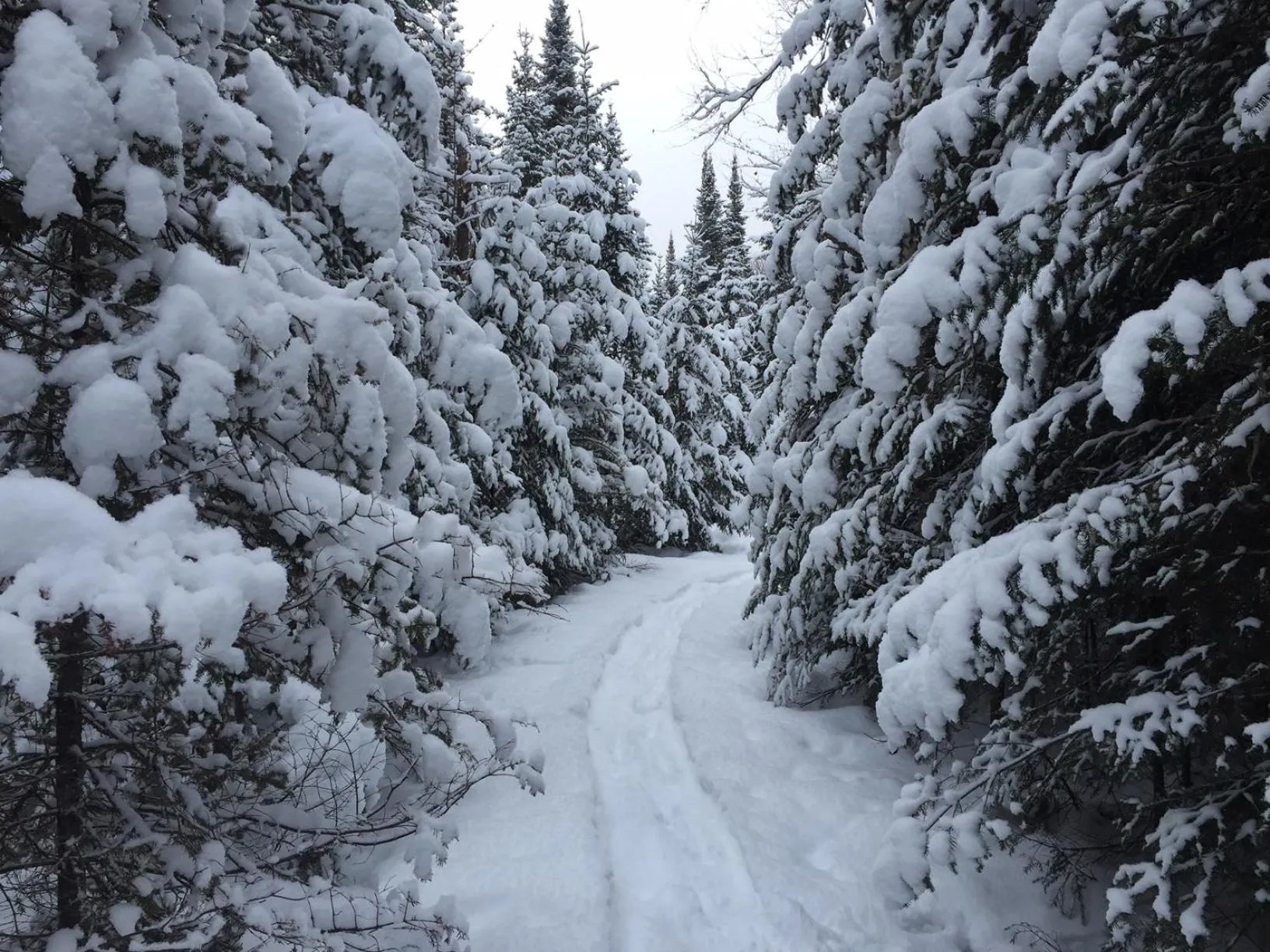 Winter in Loft Nature Laurentides