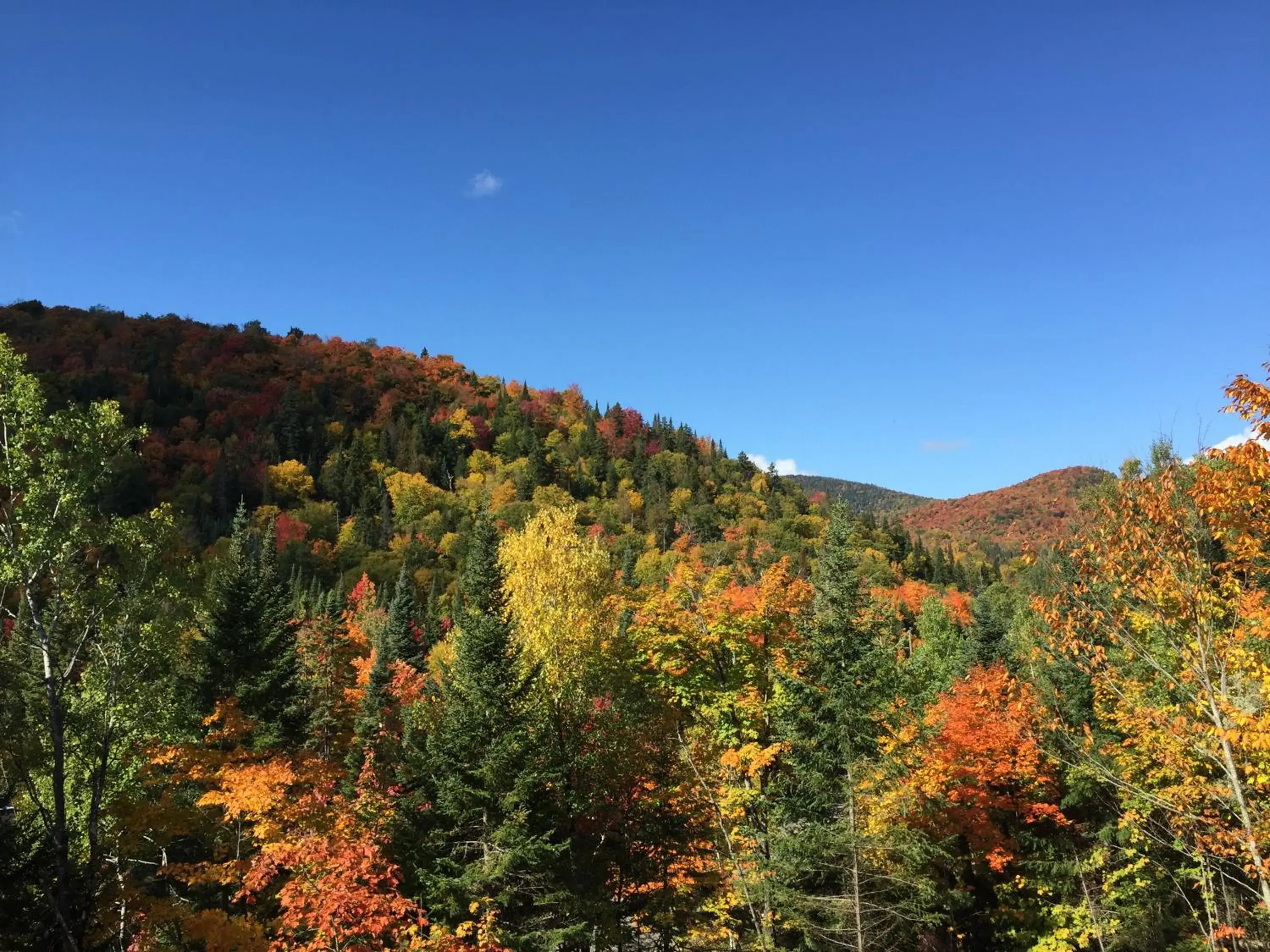 Loft Nature Laurentides Loft Nature Laurentides