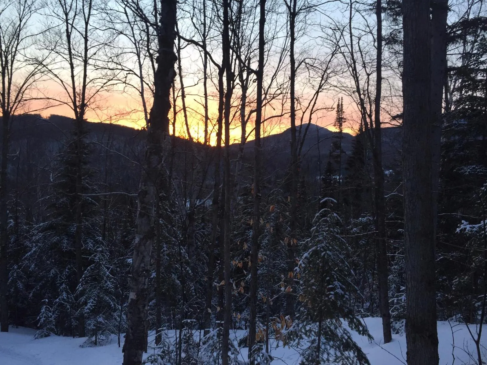 View (from property/room) in Loft Nature Laurentides