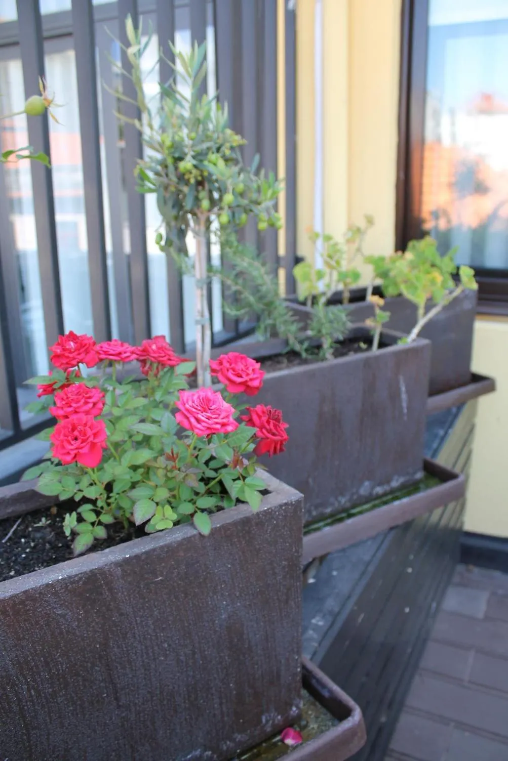 Balcony/Terrace in LL Picaria 16
