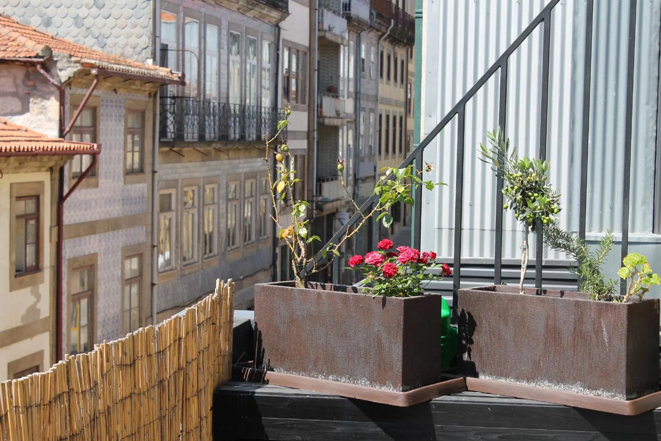 View (from property/room) in LL Picaria 16