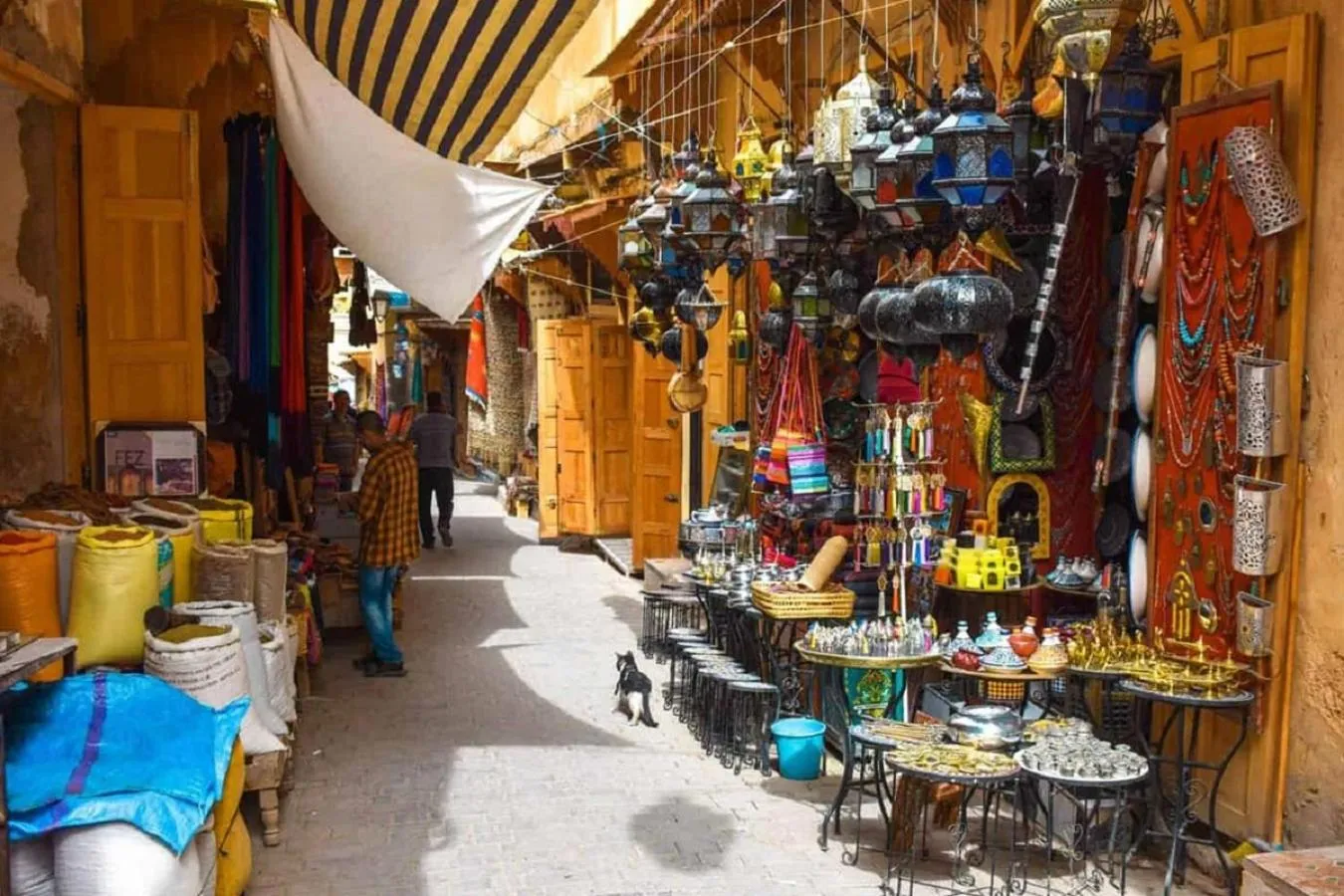 Activities in Palais Nazha Fes - Luxury Lodging