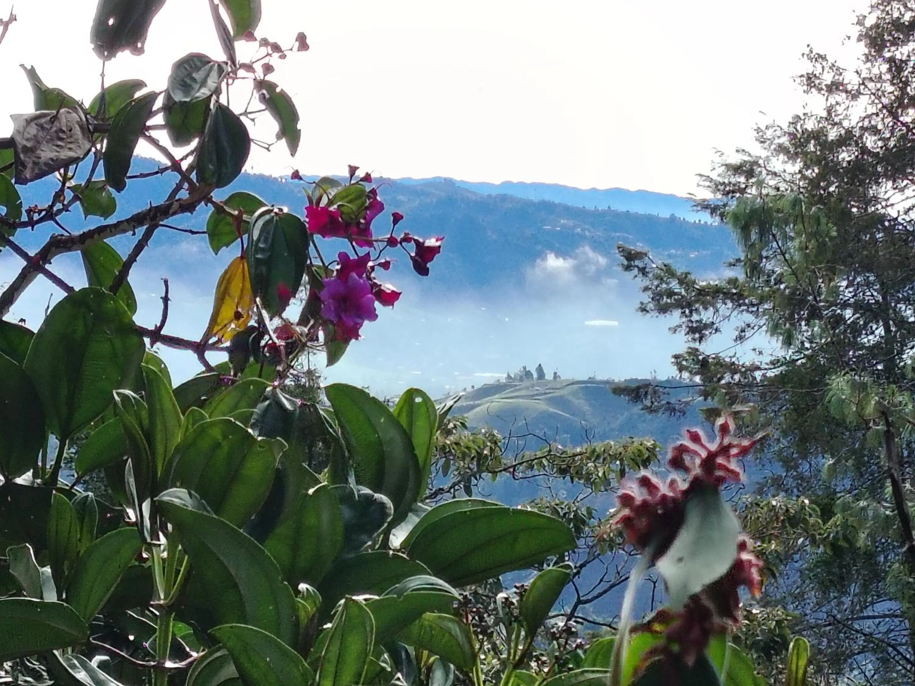 Refugio en las Nubes