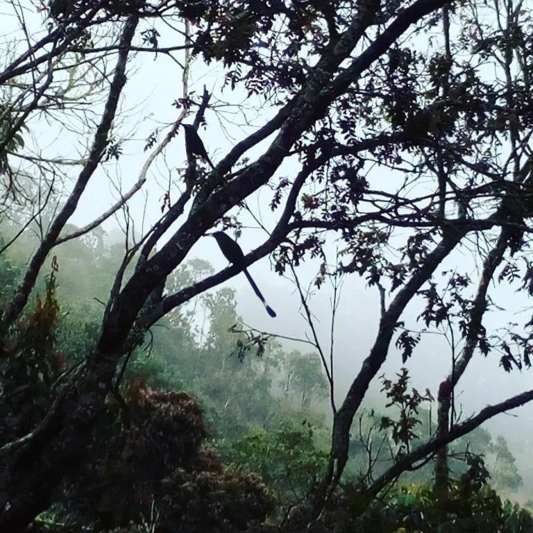 Refugio en las Nubes