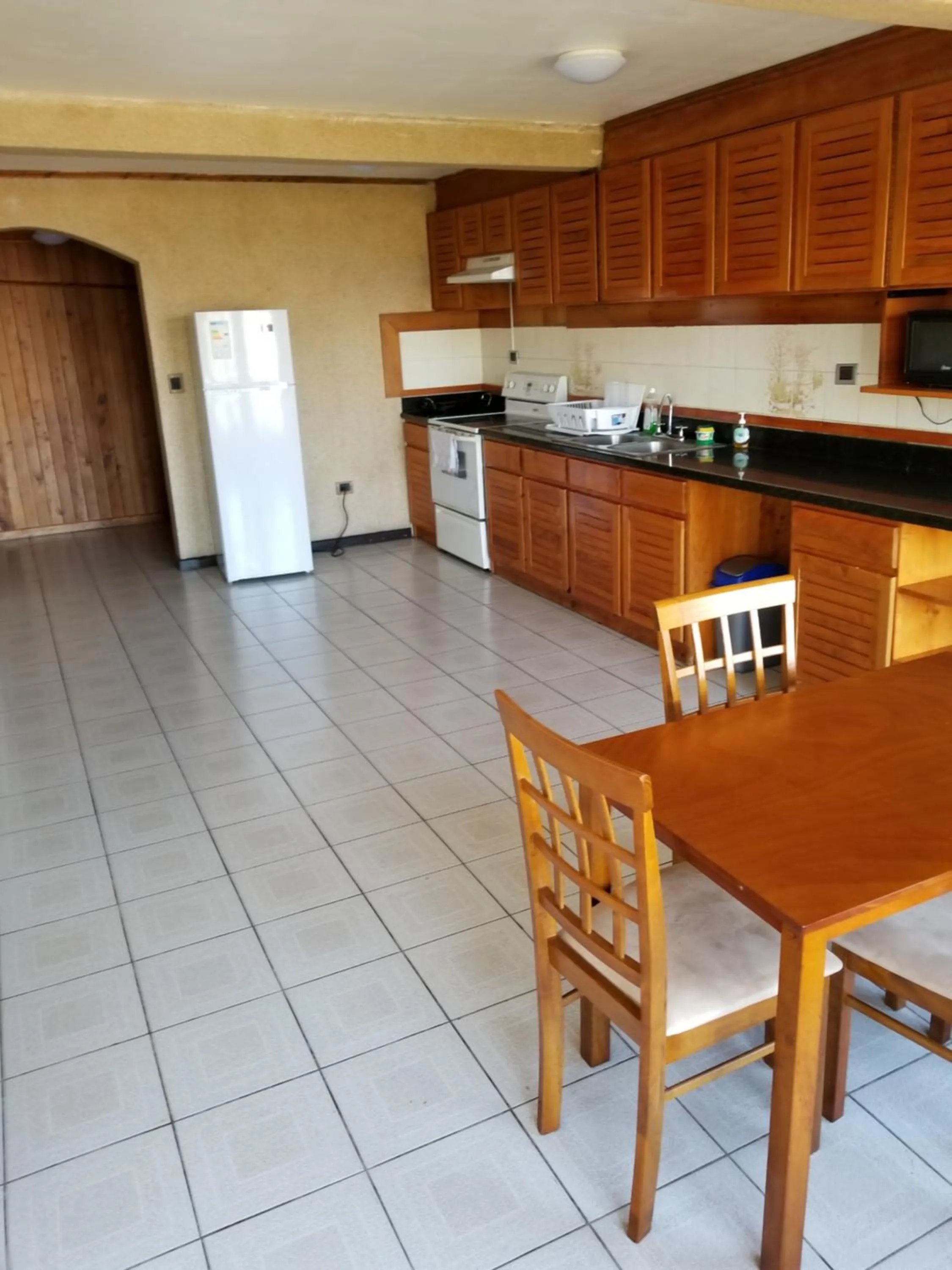 Kitchen or kitchenette in Hotel Monte Campana Escazu